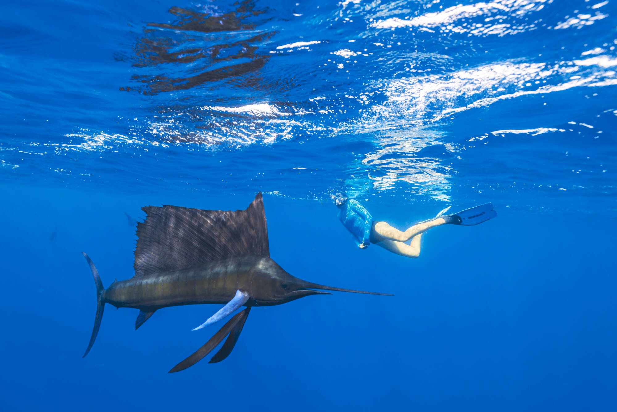 Alphonse Island Resort in Outer Islands: Alphonse Island Resort