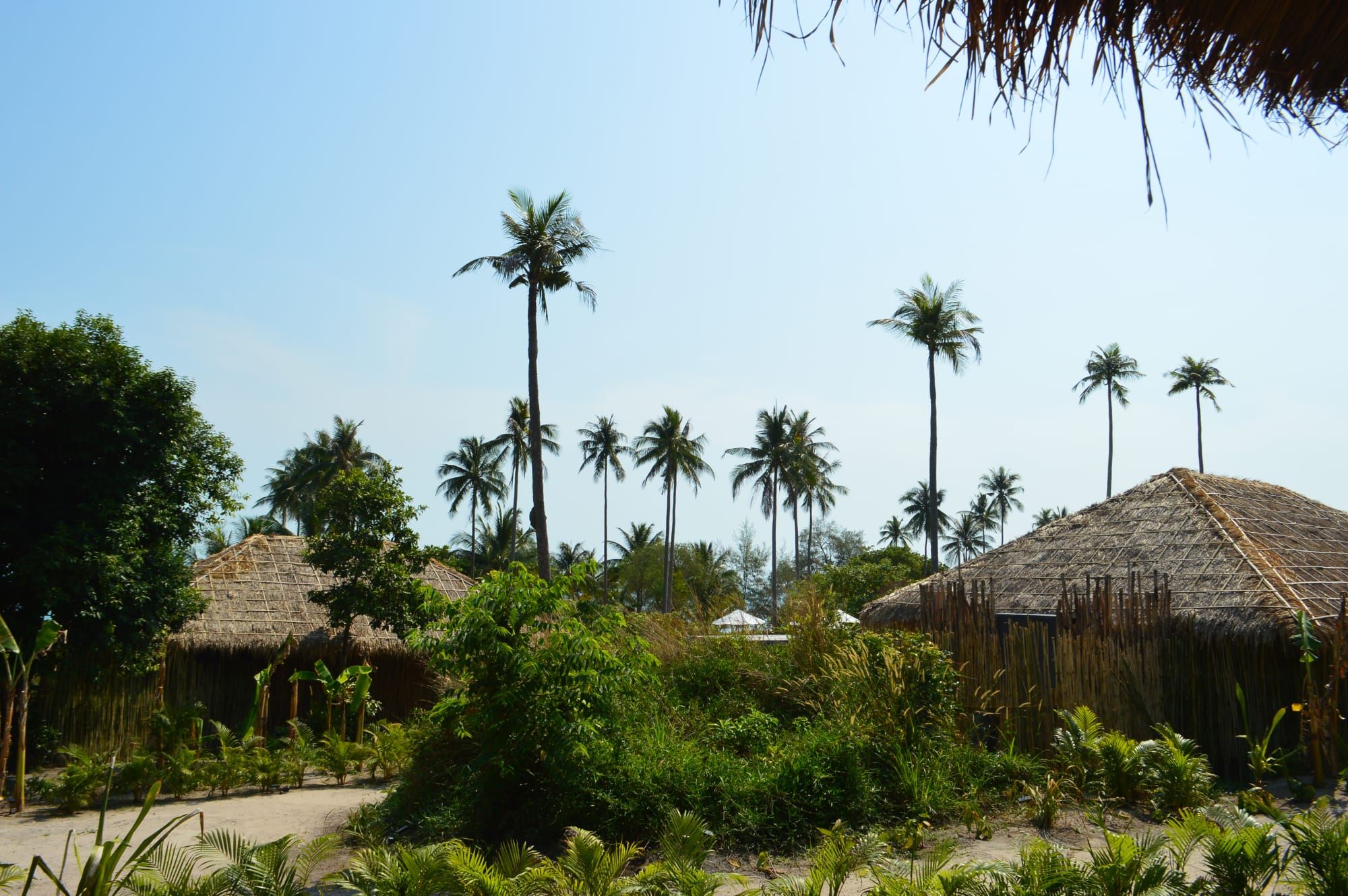 Tamu Koh Rong in Sihanoukville & Inseln: Kambodscha Tamu Koh Rong Gartenblick