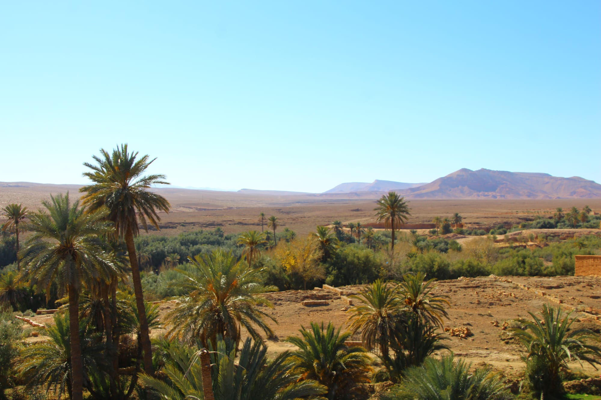 Riad Dar Bab Todra in Ouarzazate | Skoura | Dades-Tal: Marokko Riad Dar Bab Todra