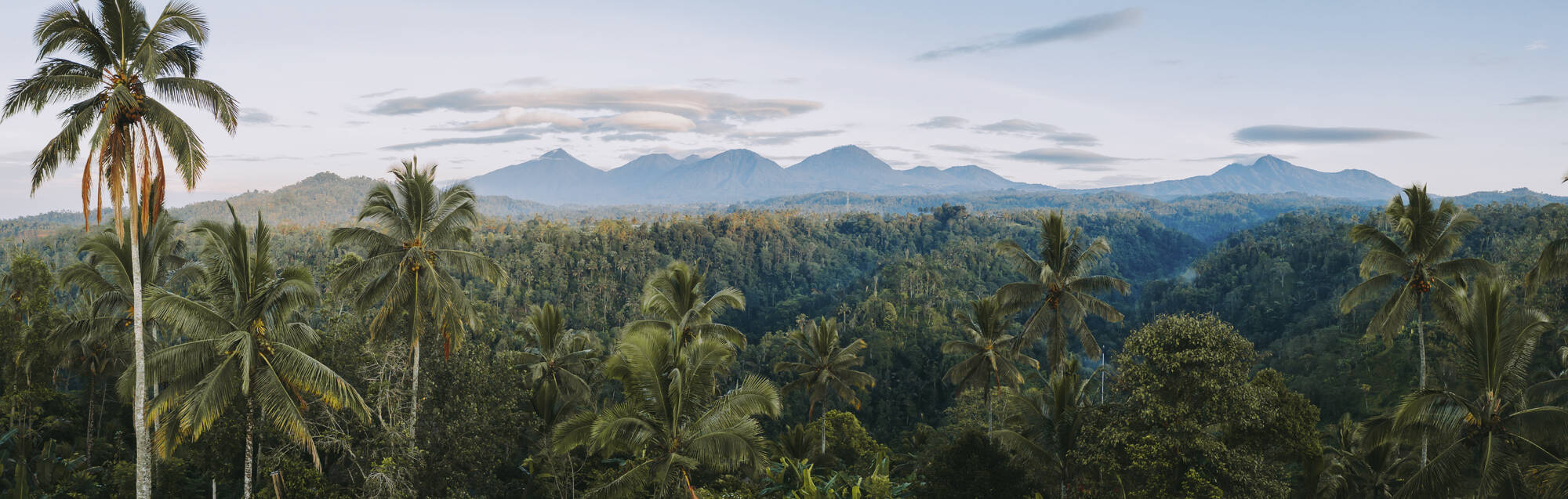 Buahan - a Banyan Tree Escape in Zentral-Bali | Ubud:  Buahan A Banyan Tree Escape Panorama