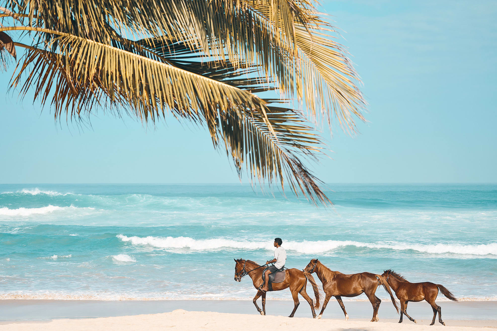 The Sanubari in Sumba: Indonesien The Sanubari