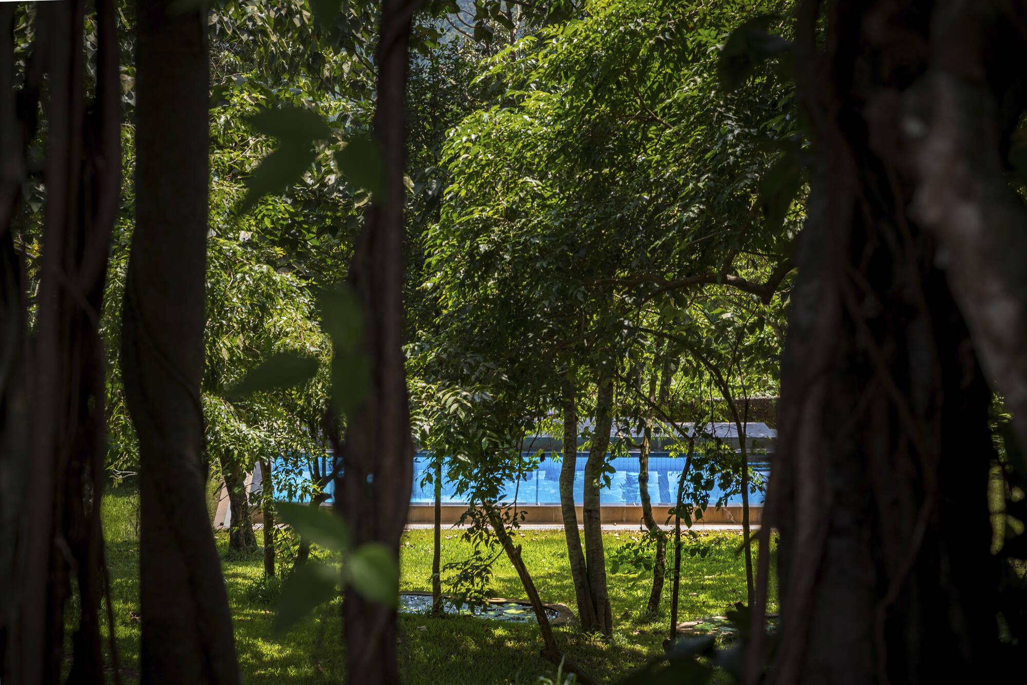 The Postcard Velha in Goa: The Postcard Goa