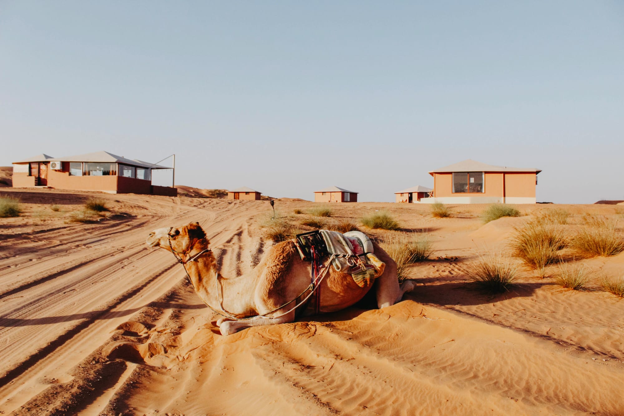 Silent Dunes Camp in Wüste: Oman Silent Dunes Camp