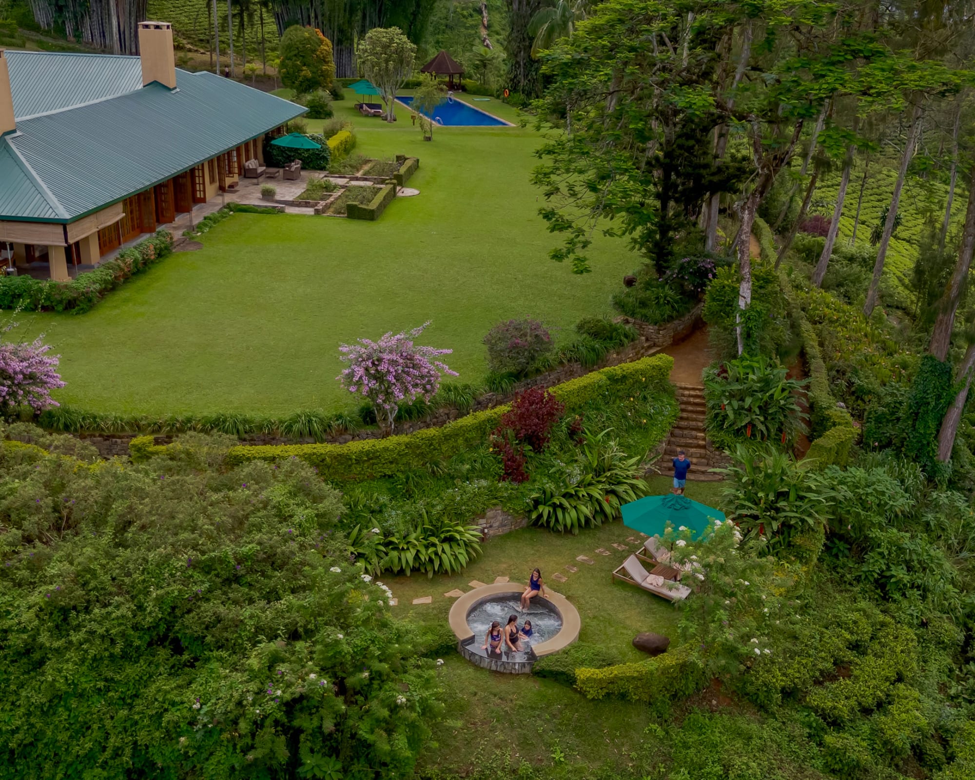 Ceylon Tea Trails in Hatton: Ceylon Tea Trails