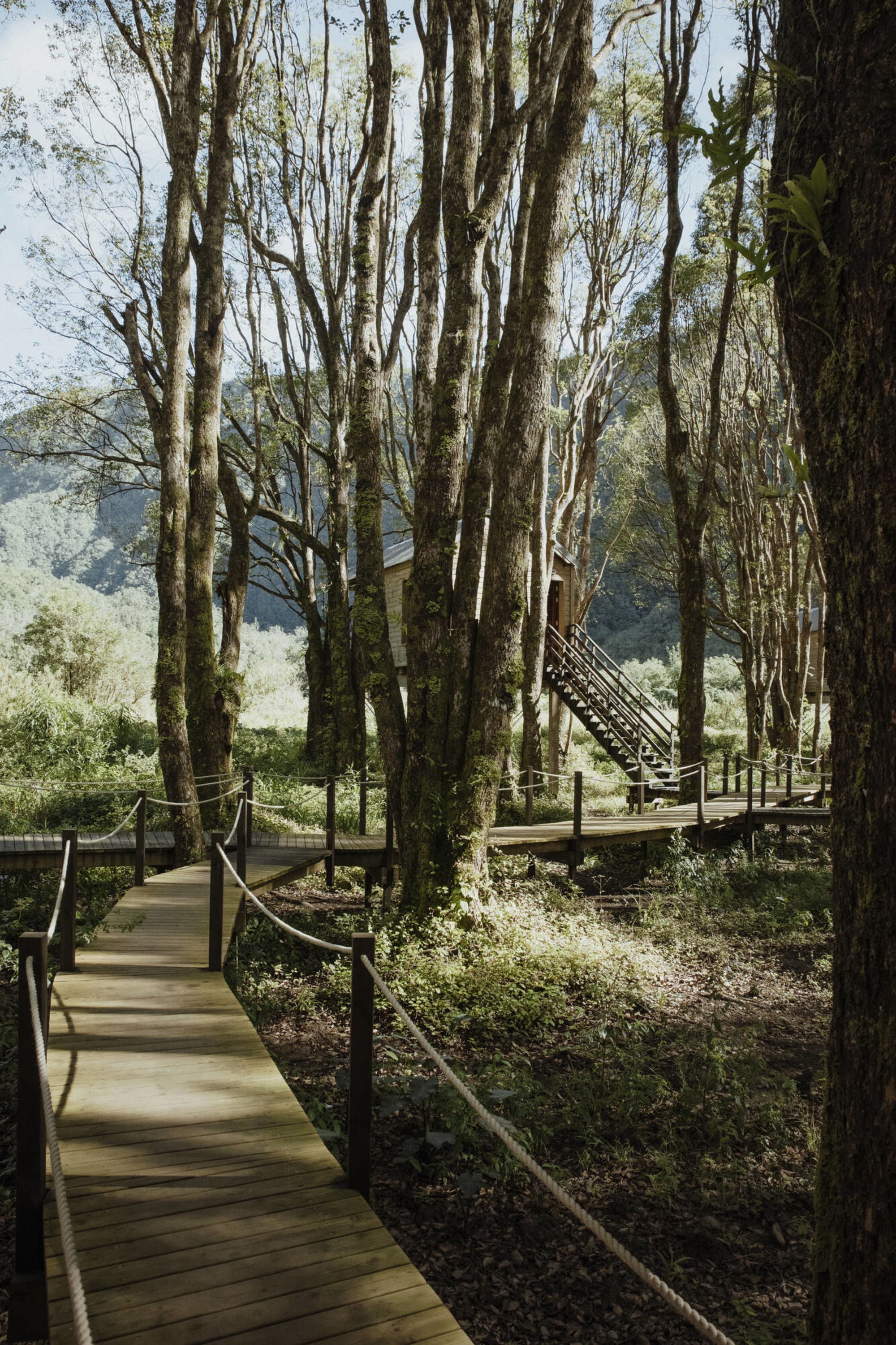 Kanopea Forest Lodge in Zentral La Réunion:  Kanopea Forest Lodge