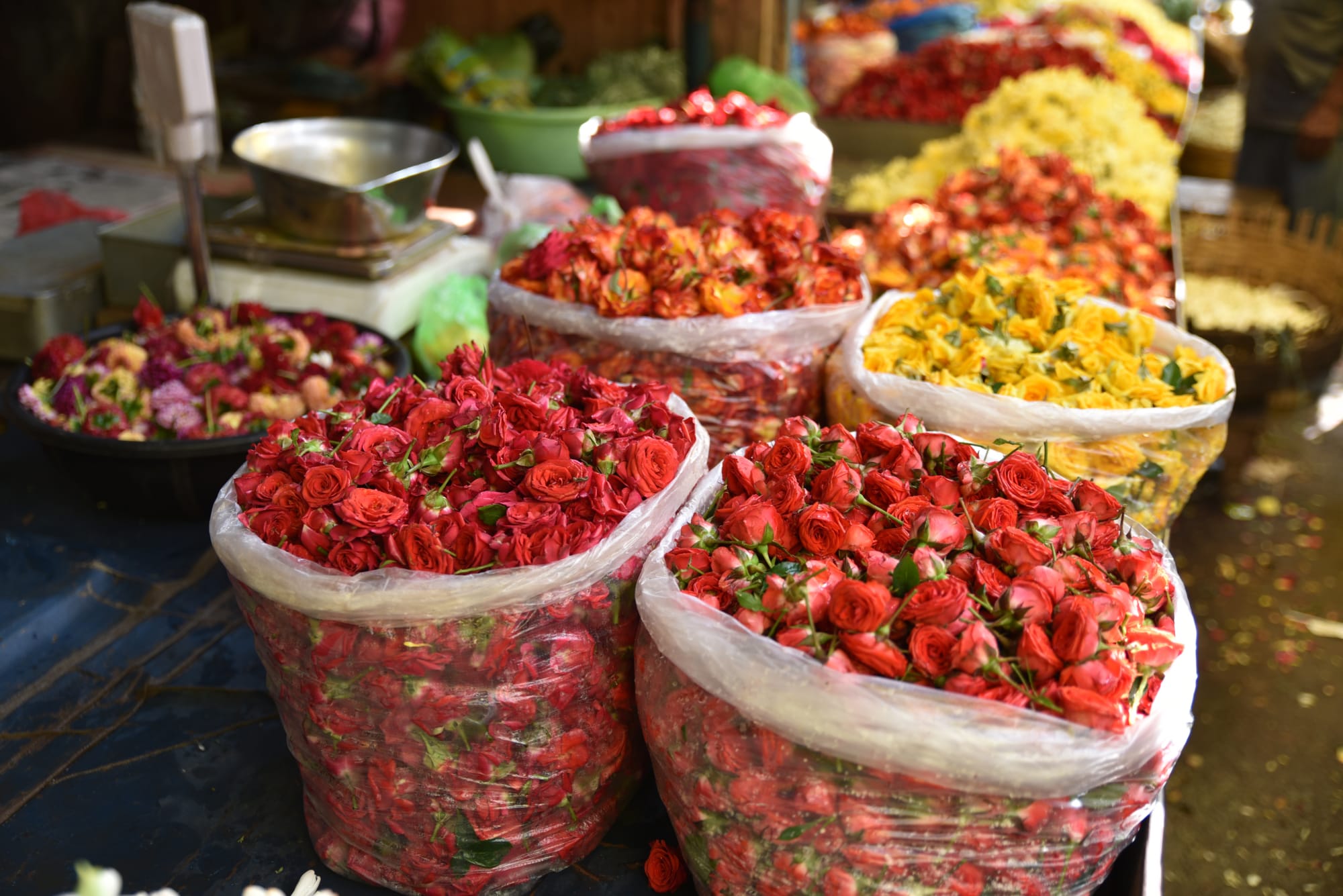 Süden Indiens für Genießer ab Tamil Nadu | Koromandelküste | Chennai: Indien Puducherry Markt