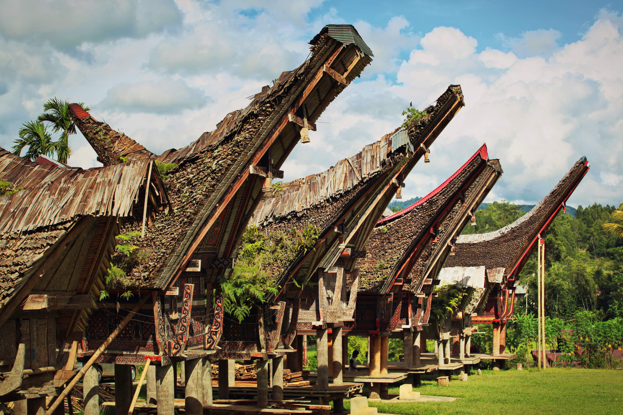Torajaland Intensiv ab Makassar: Indonesien Sulawesi Torajaland Traditionelle Häuser