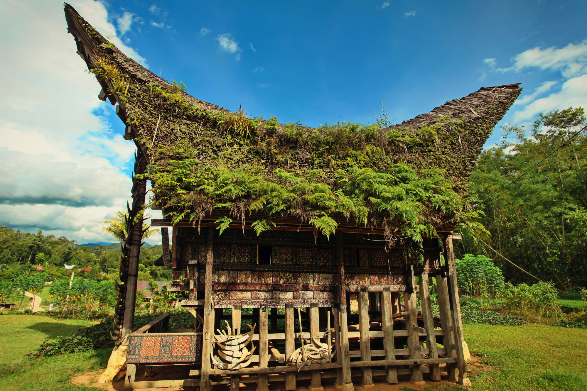 Torajaland Intensiv ab Makassar: Indonesien Sulawesi Torajaland Traditionelles Haus