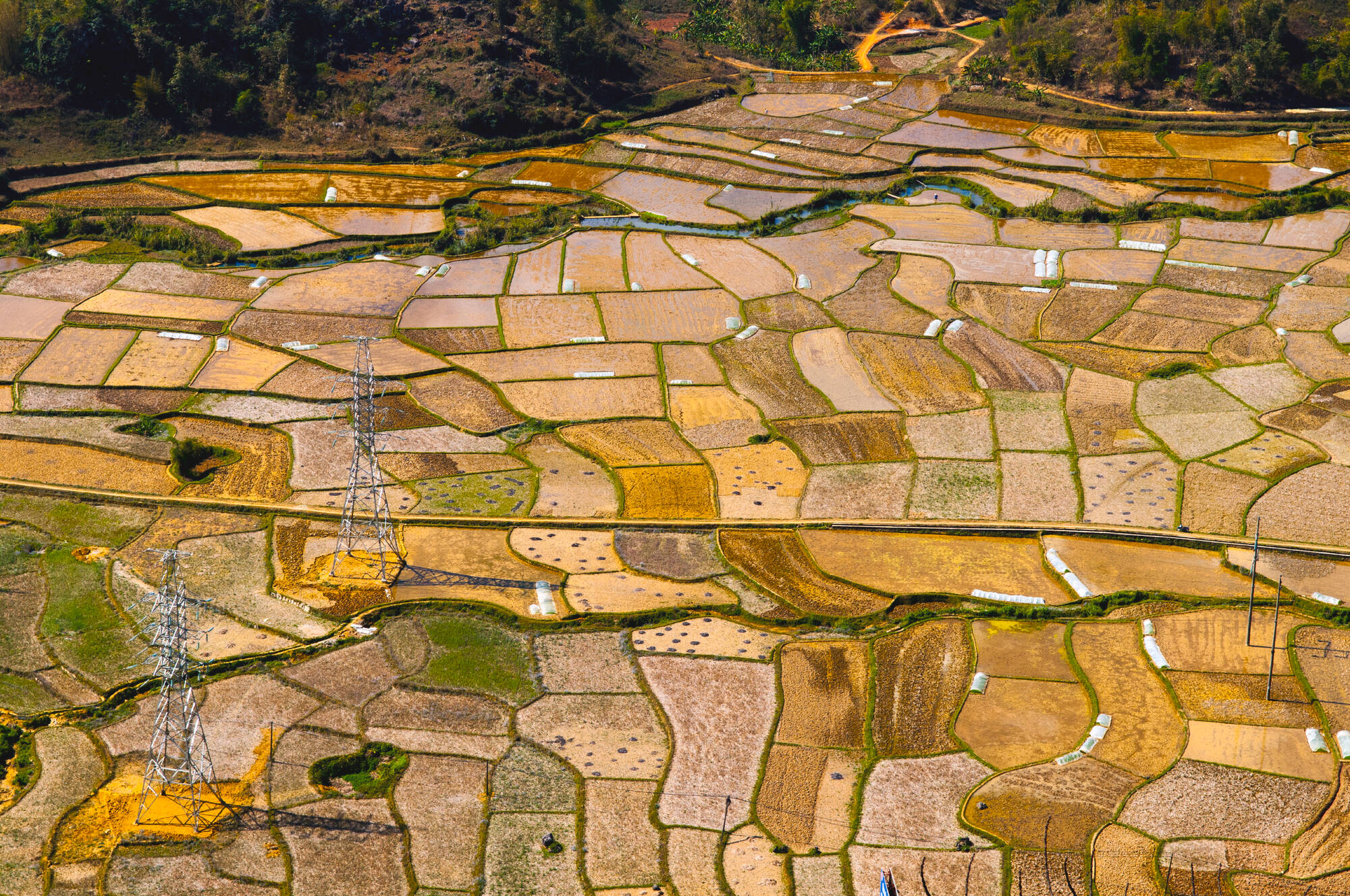 Impressionen Nord-Vietnams ab Hanoi: Vietnam Mai Chau Reisfeld