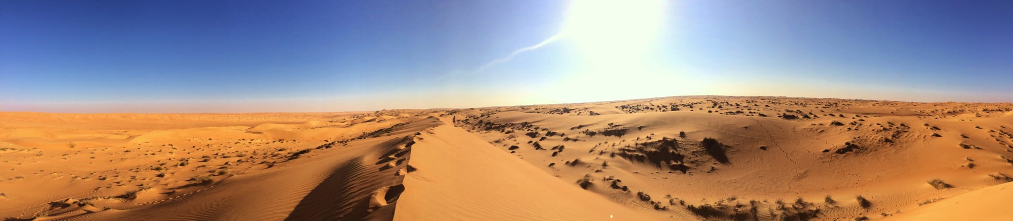 Erlebnis Wüste ab Muscat: Oman Wahiba Sands Dünenpanorama