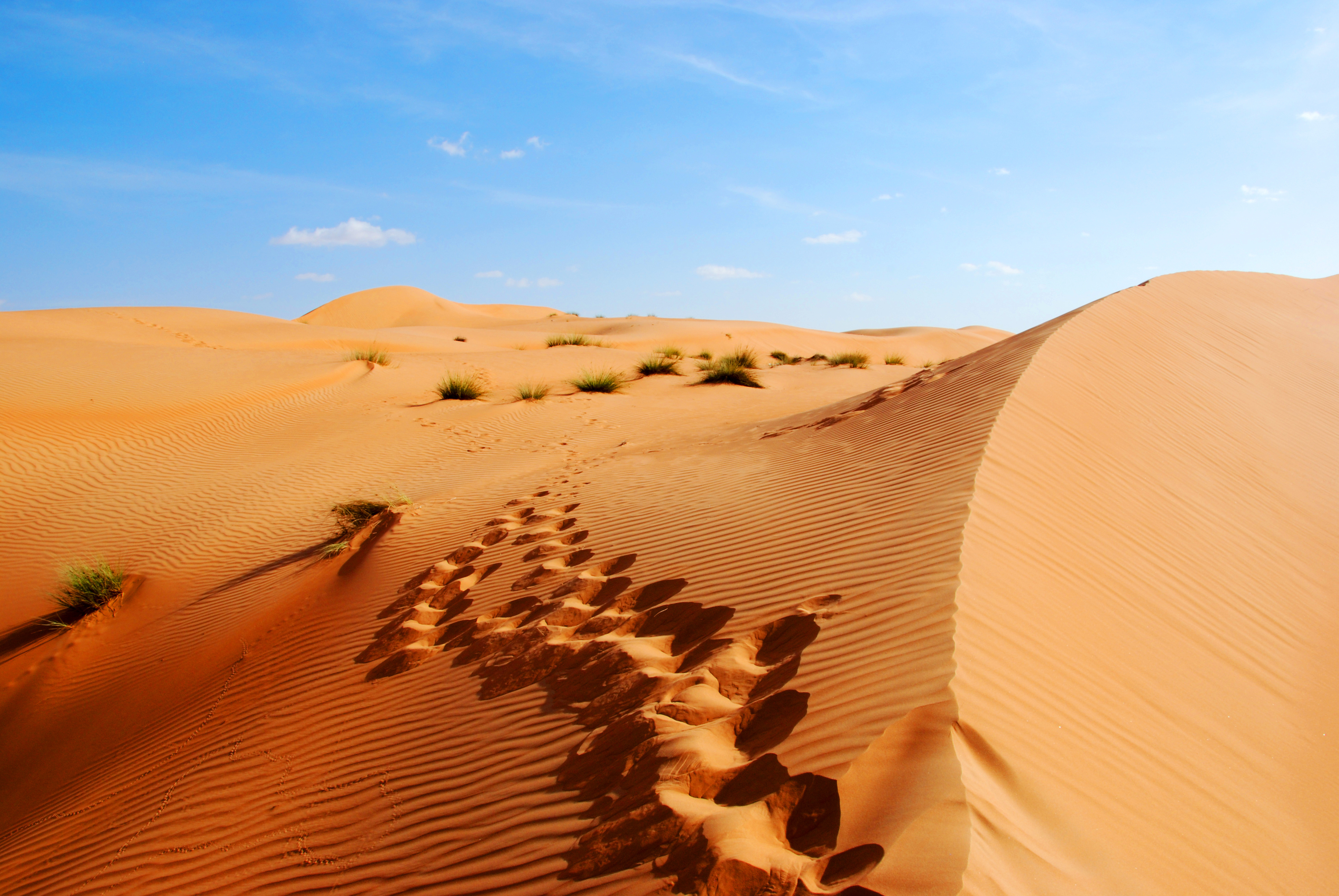 Geheimnisse Omans ab Muscat: Oman Spuren im Sand