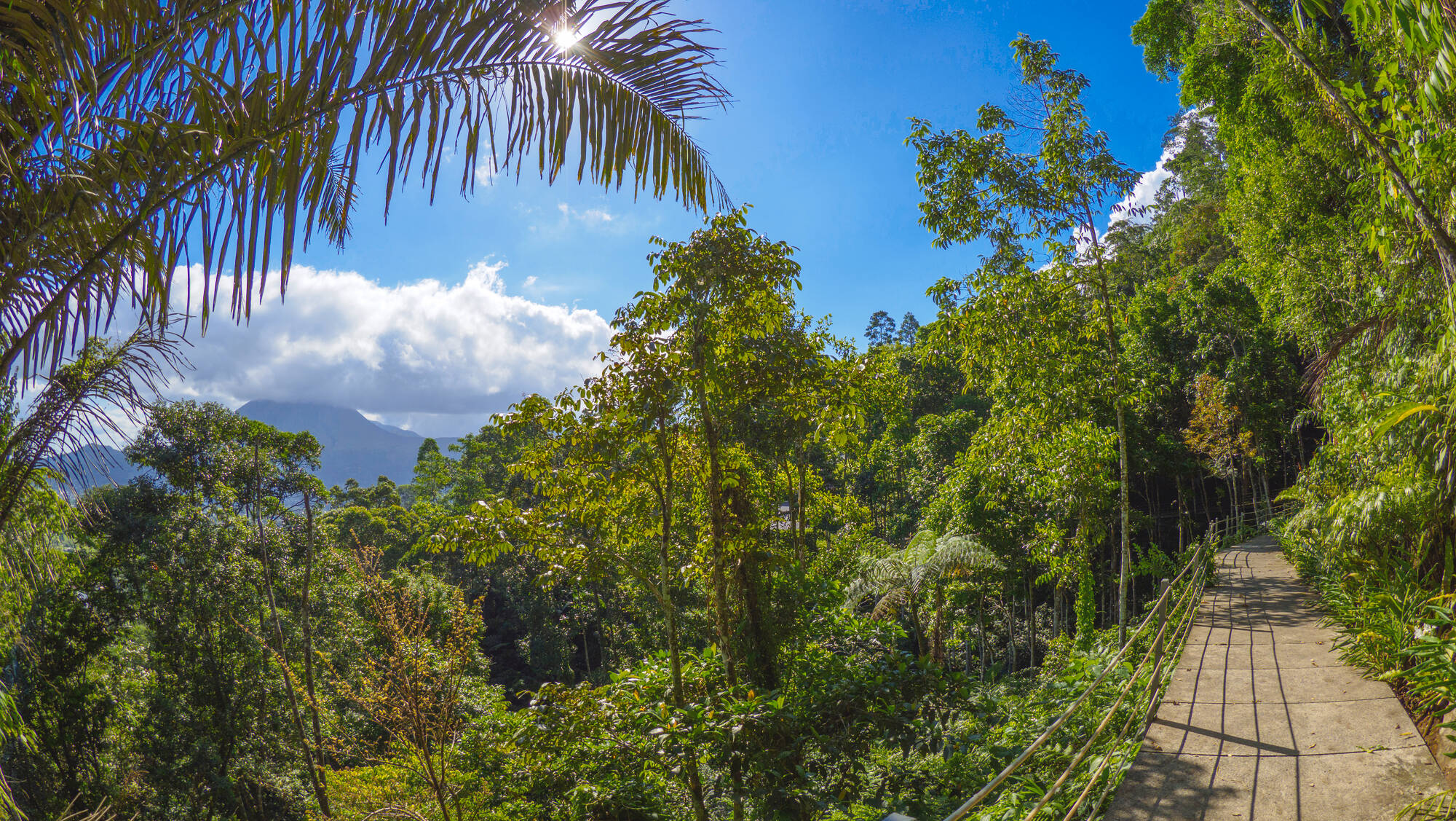 Im Hochland der Minahasa ab Manado: Indonesien Sulawesi Mount Mahawu