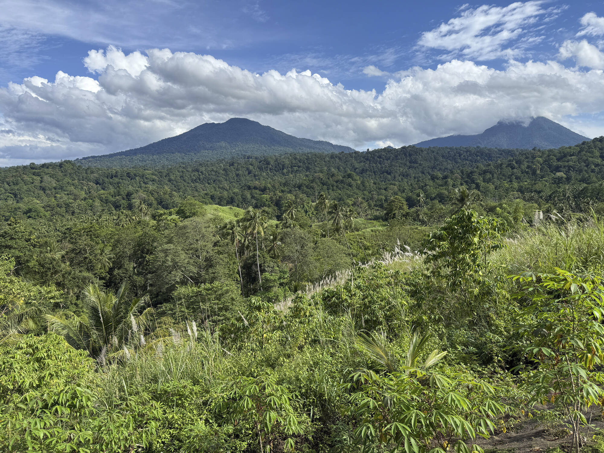 Im Hochland der Minahasa ab Manado: Indonesien Sulawesi Minahasa Hochland