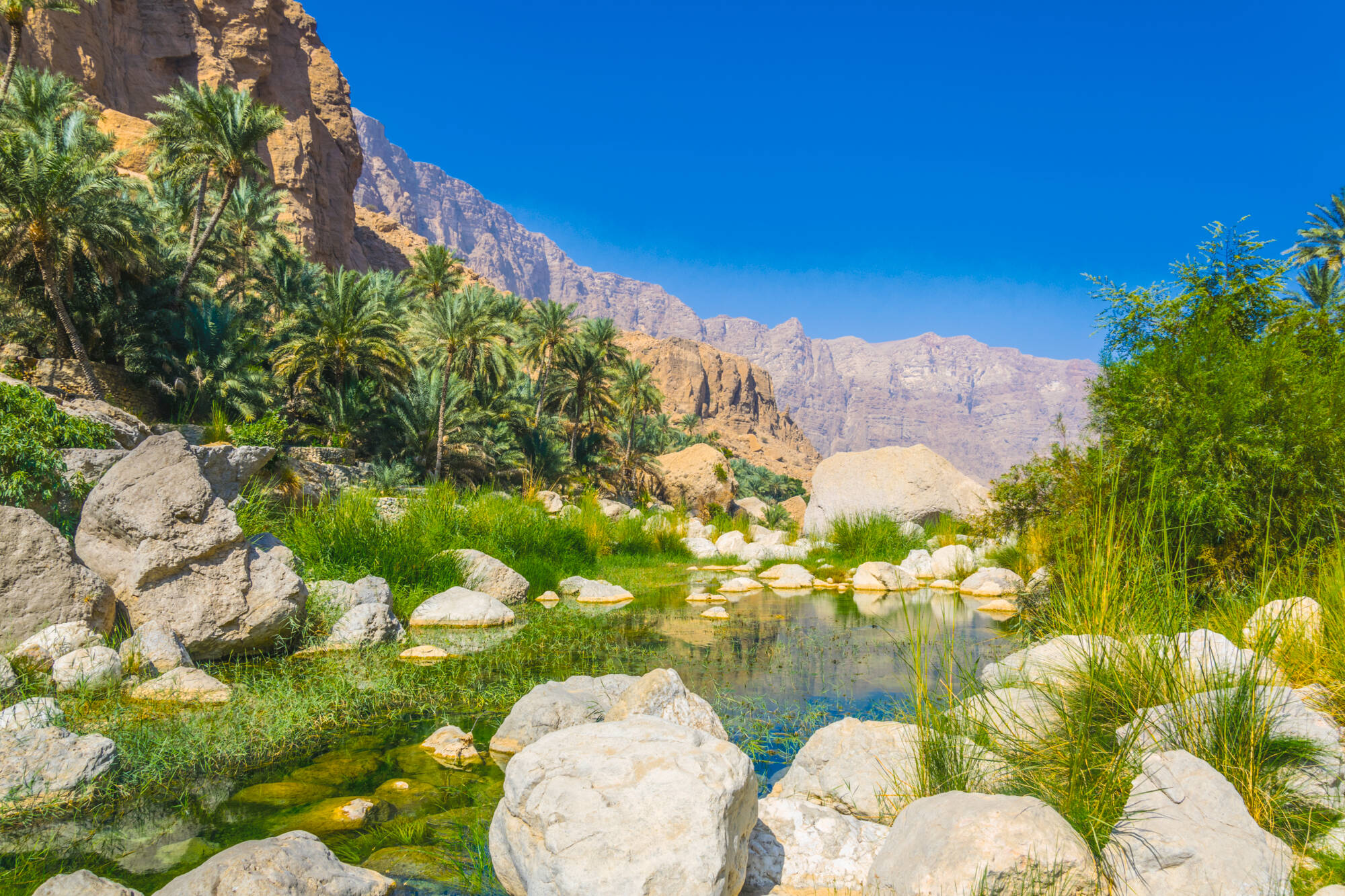 Natur & Kultur Oman ab Muscat: Oman Wadi Tiwi