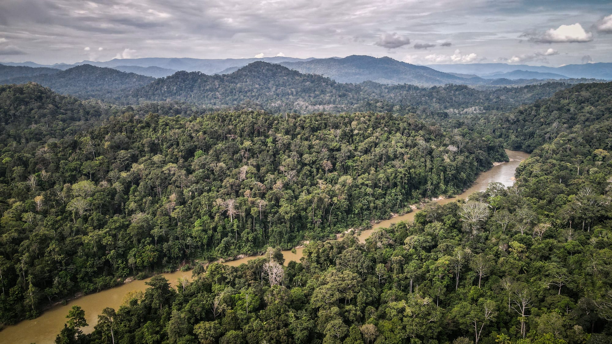 Taman Negara Kurztour ab Kuala Lumpur: Malaysia Taman Negara