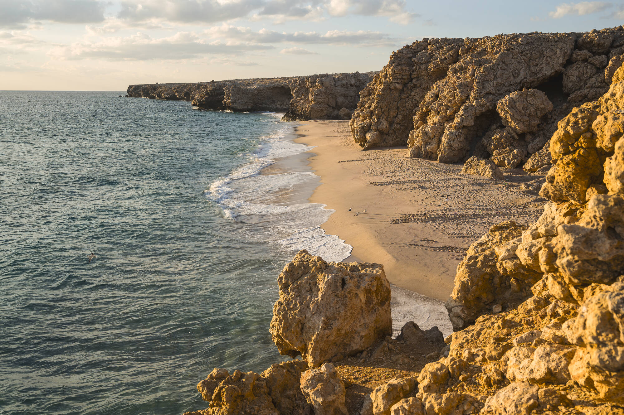 Offroadtour: Oman mal anders ab Muscat: Oman Ras al Jinz Schildkrötenspuren