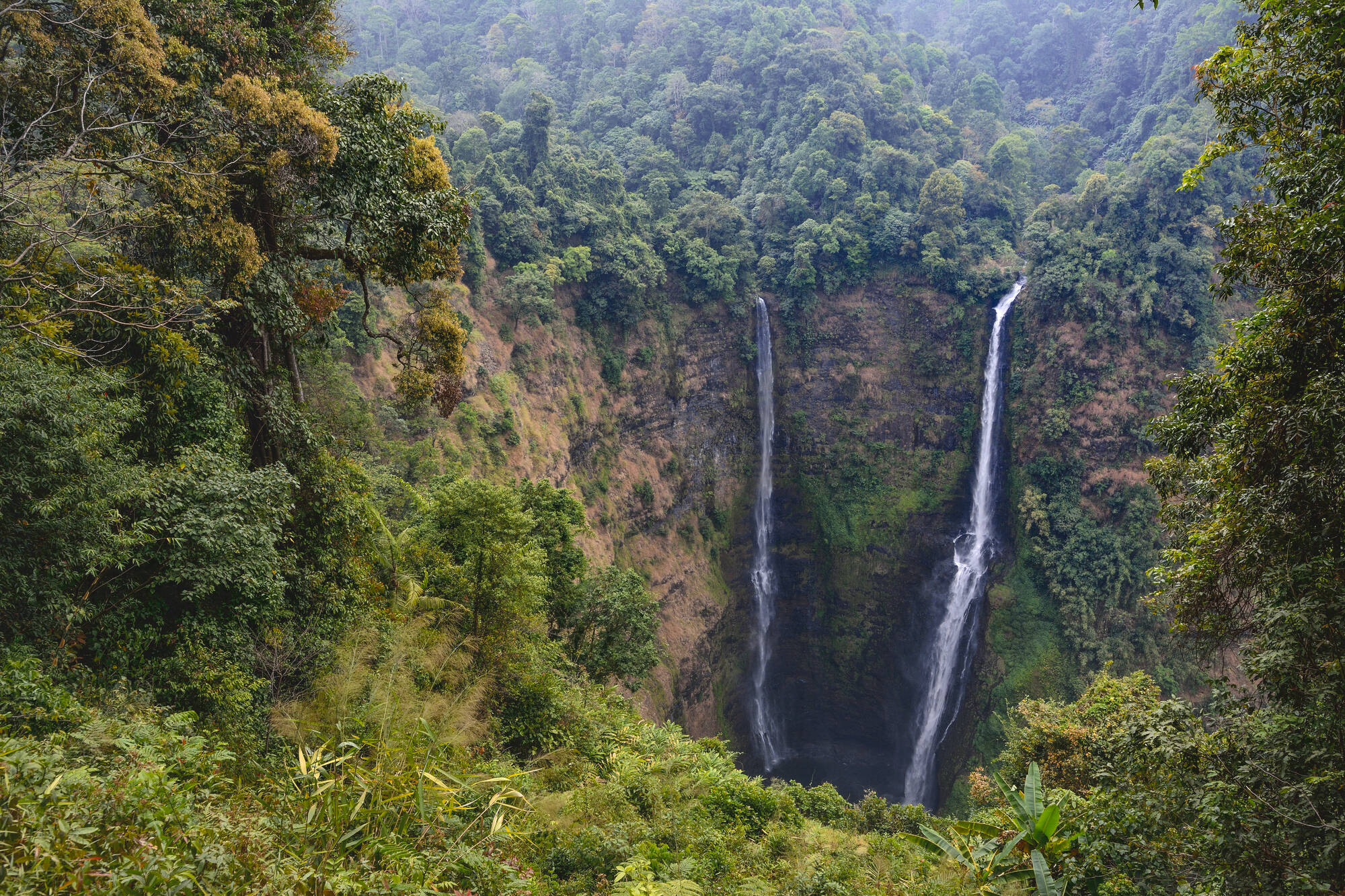 Natur & Kultur Süd-Laos ab Pakse: Laos Bolaven Plateau Tad Fane Wasserfall