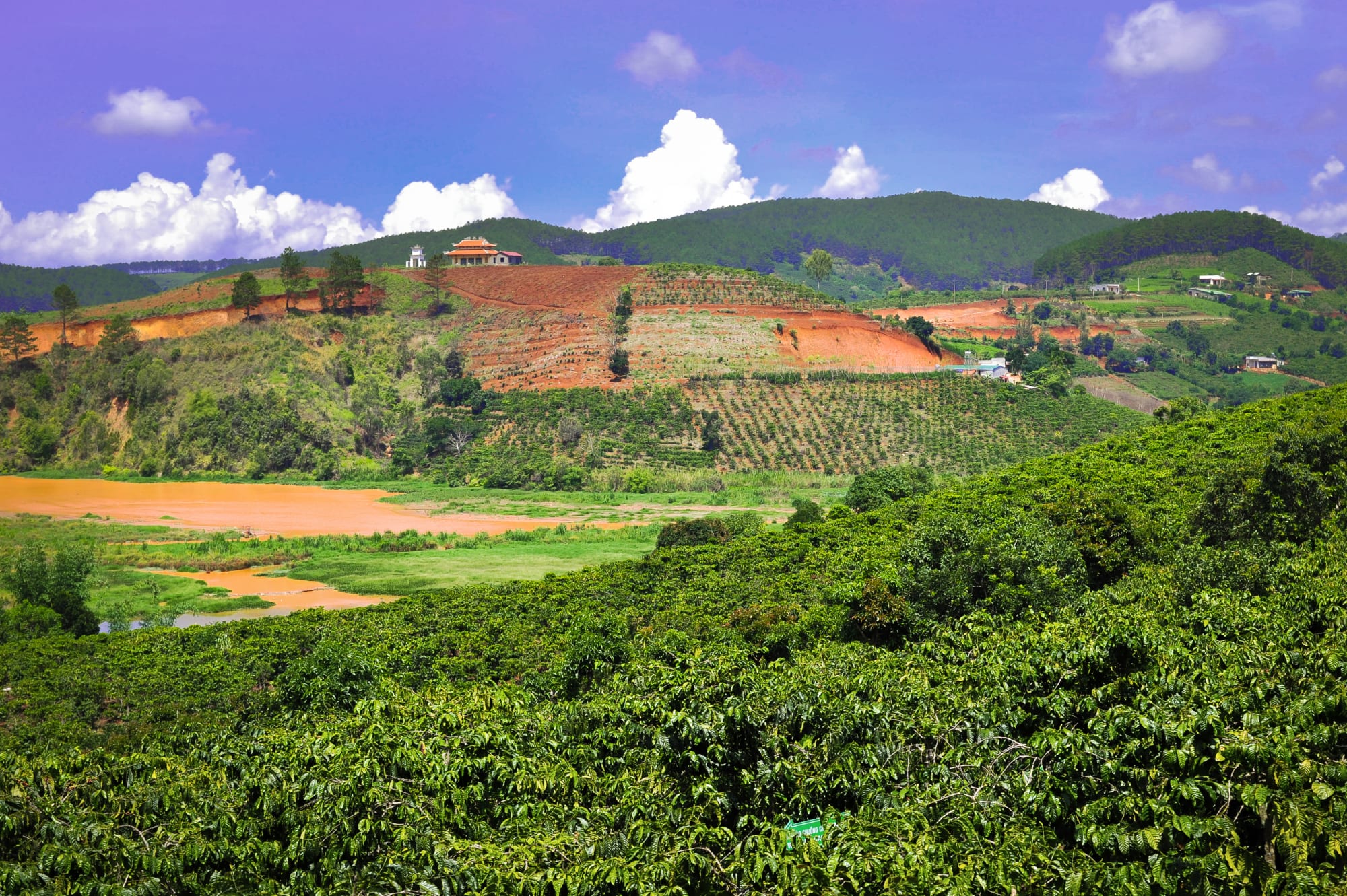 Zentrales Hochland und Dalat ab Saigon: Vietnam Kaffeeplantage