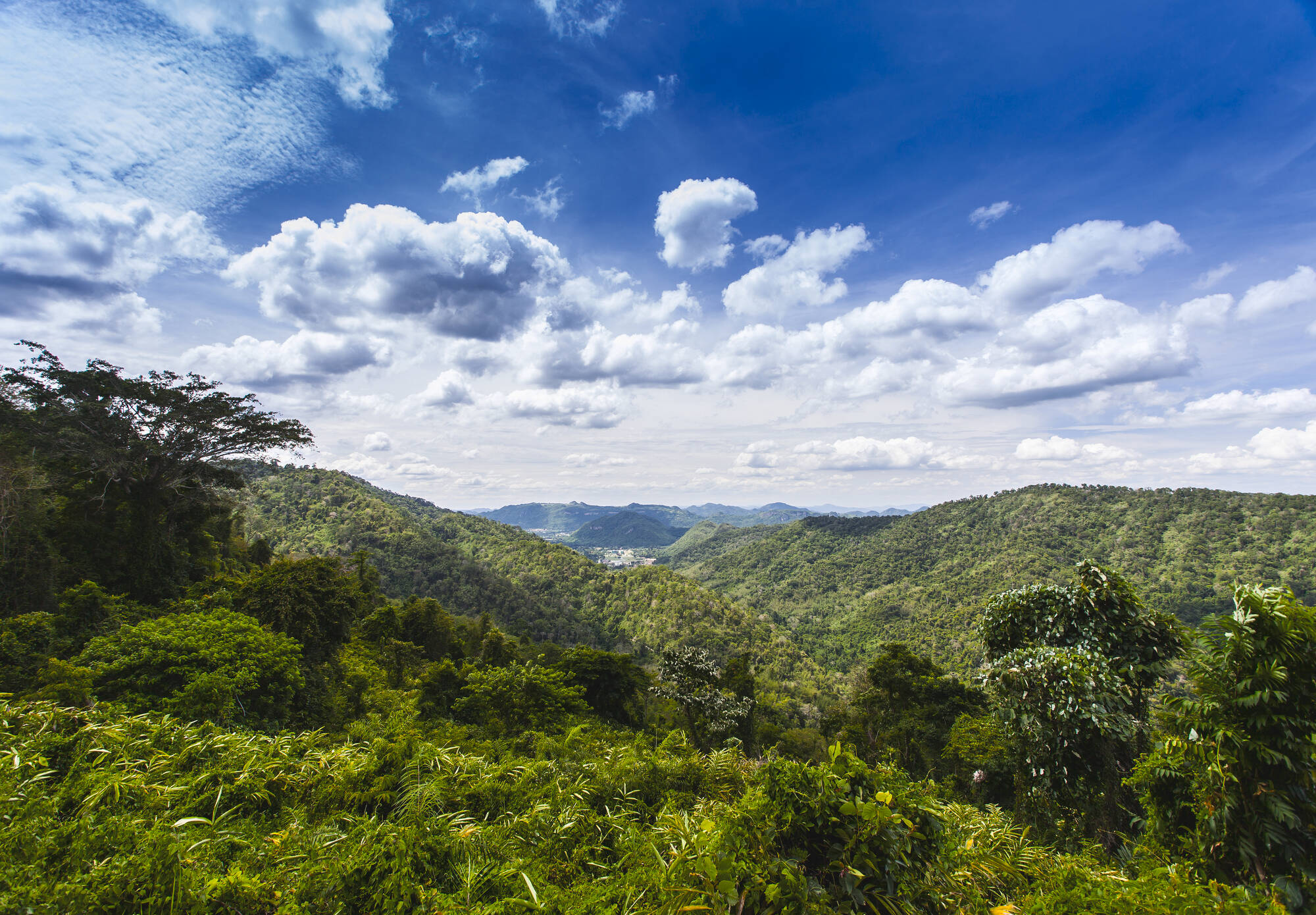 Isan - der verborgene Schatz Thailands ab Bangkok: Thailand Khao Yai Nationalpark