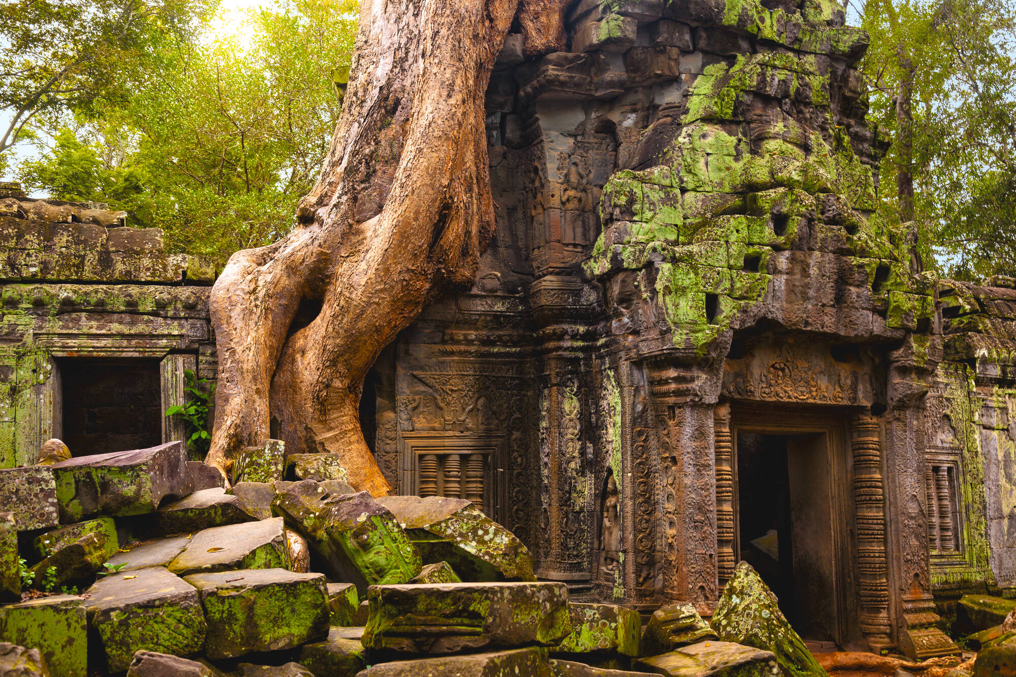 Mystisches Angkor ab Siem Reap: Kambodscha Angkor Ta Prohm
