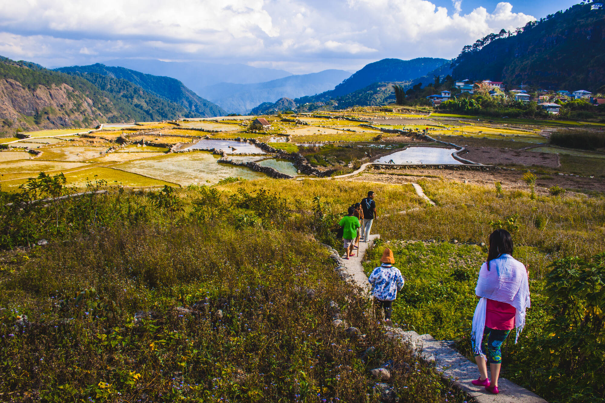 Rundreise Nord-Luzon ab Manila: Philippinen Sagada Reisfeld