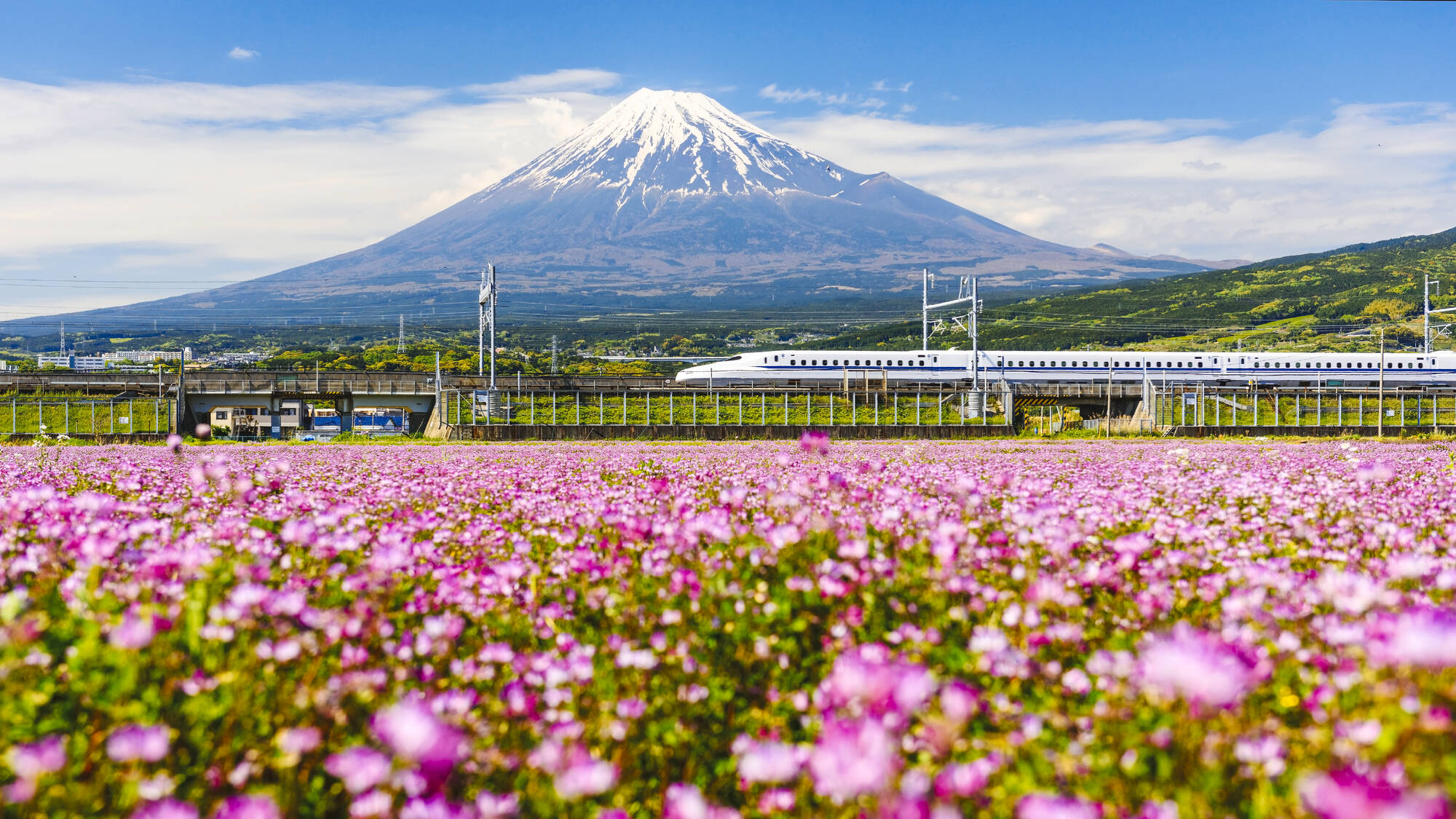 Japan individuell mit dem Zug ab Tokio: Japan Shinkansen Mount Fuji