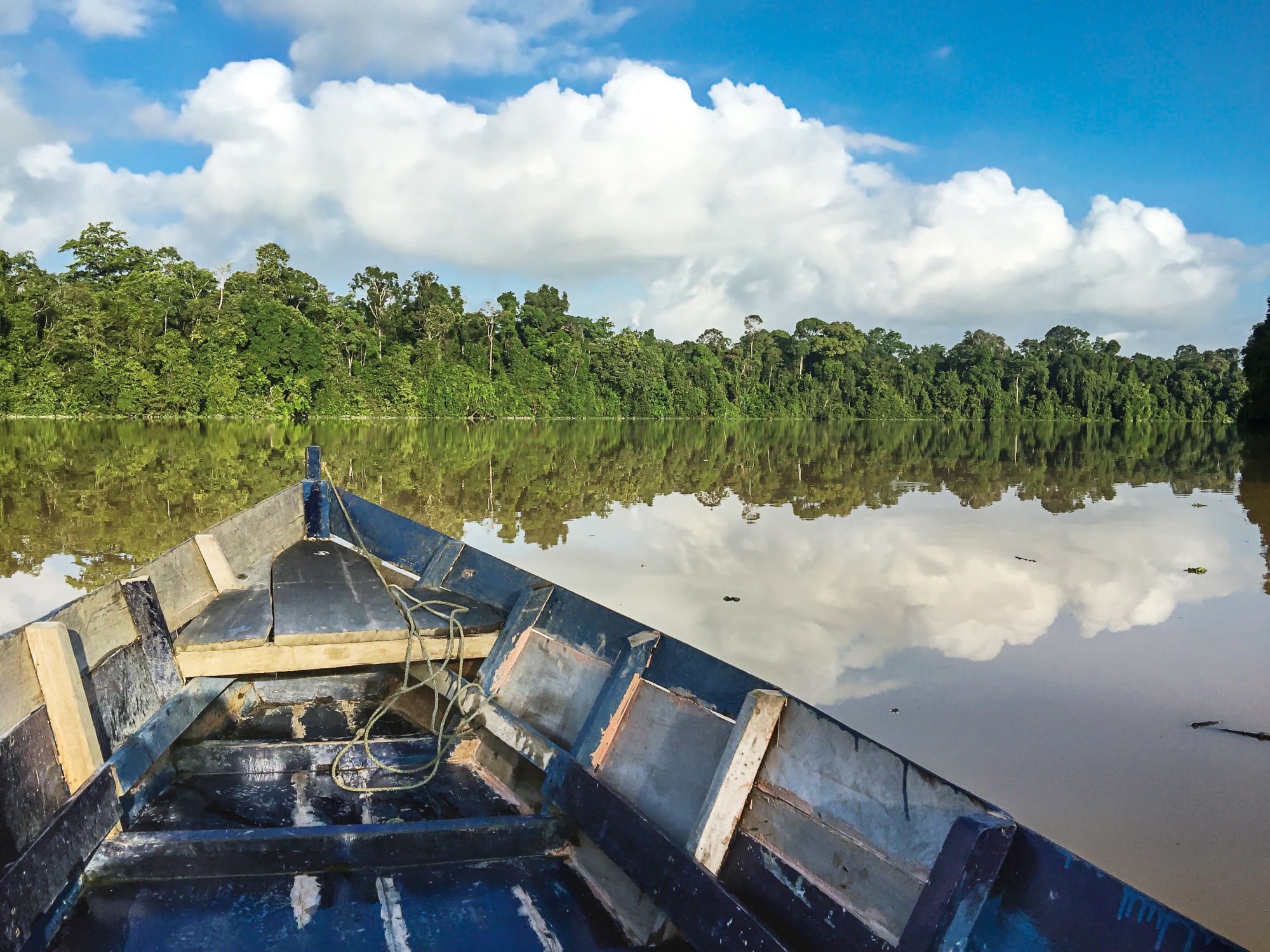 Borneo Wildlife - Tabin Wildlife Reserve ab Kota Kinabalu: Borneo Sabah Bootsfahrt