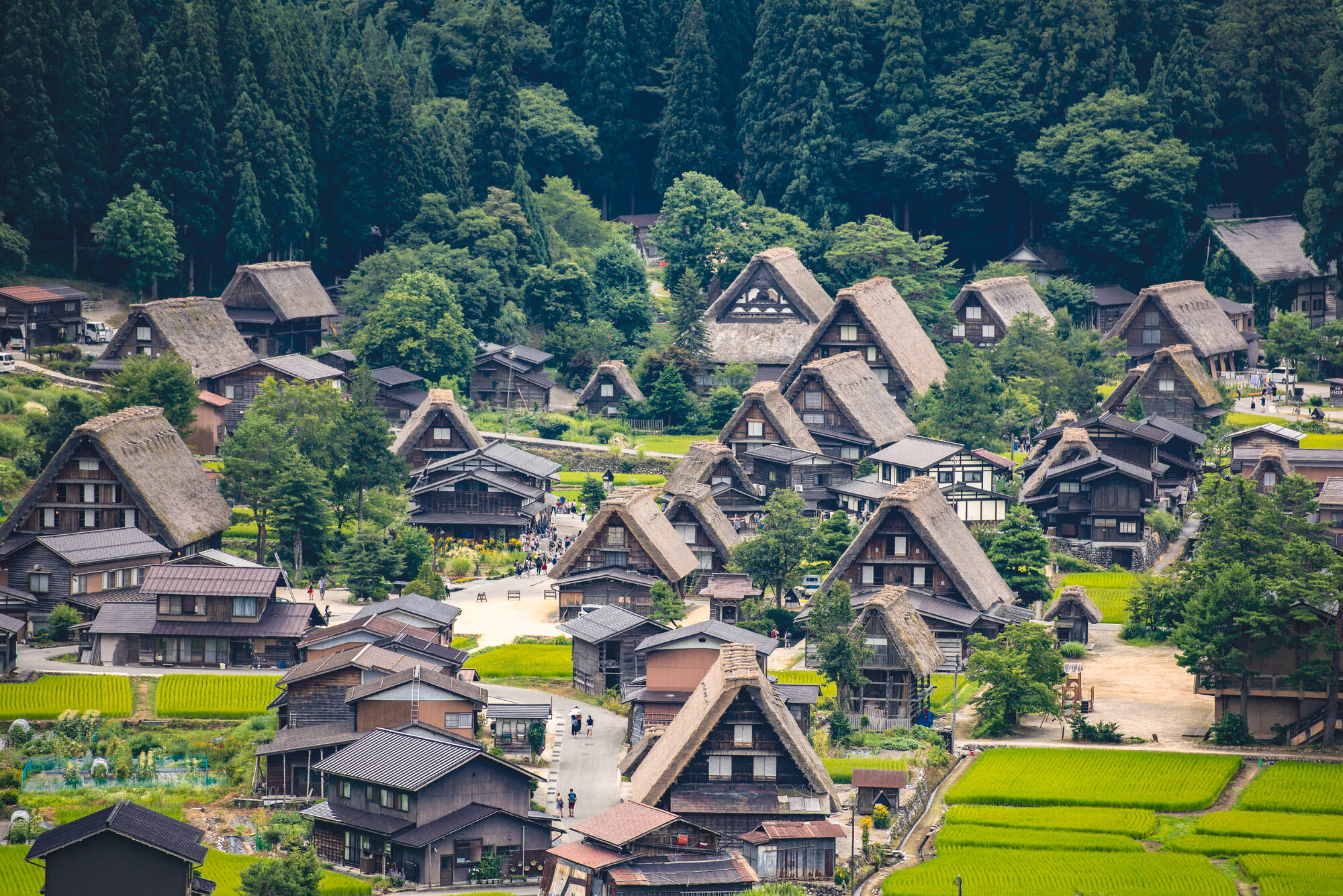 Japan individuell mit dem Zug ab Tokio: Japan Gokayama Gasshozukuri Dorf