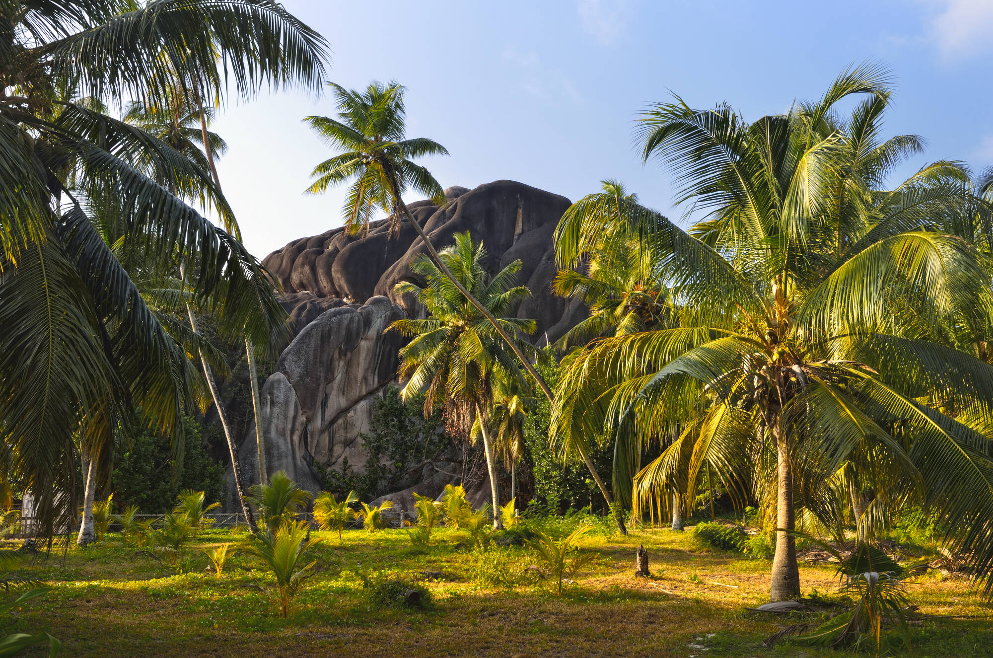 Islandhopping im Garten Eden (4 days/3 nights) ab Praslin: Seychellen Natur