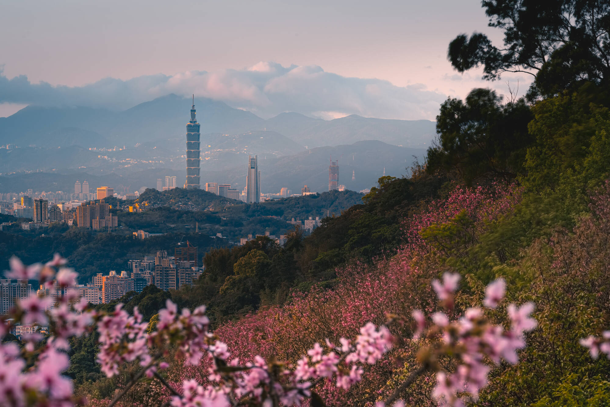 Soft Adventure Taiwan ab Taipei: Taiwan Taipei Sonnenaufgang