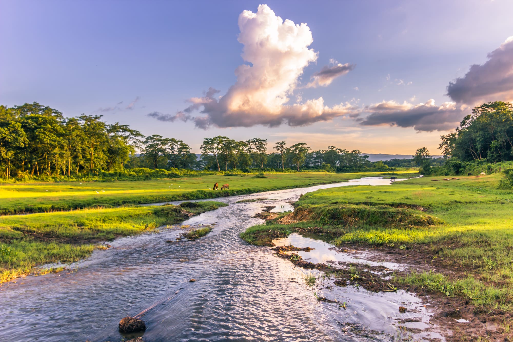 Klassisches Nepal ab Kathmandu: Nepal Chitwan Nationalpark