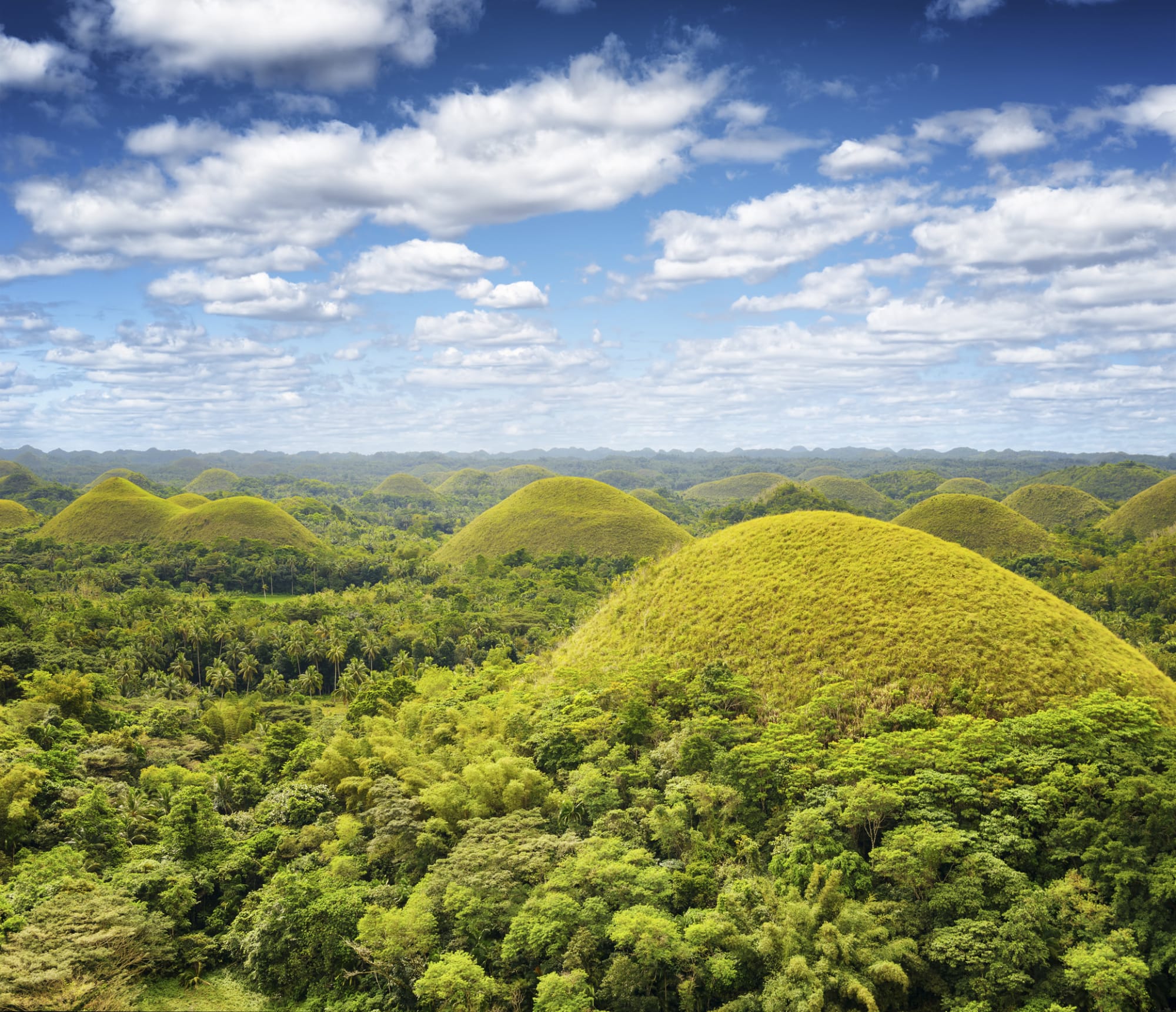 Naturschönheiten Bohols: Philippinen Bohol Chocolate Hills