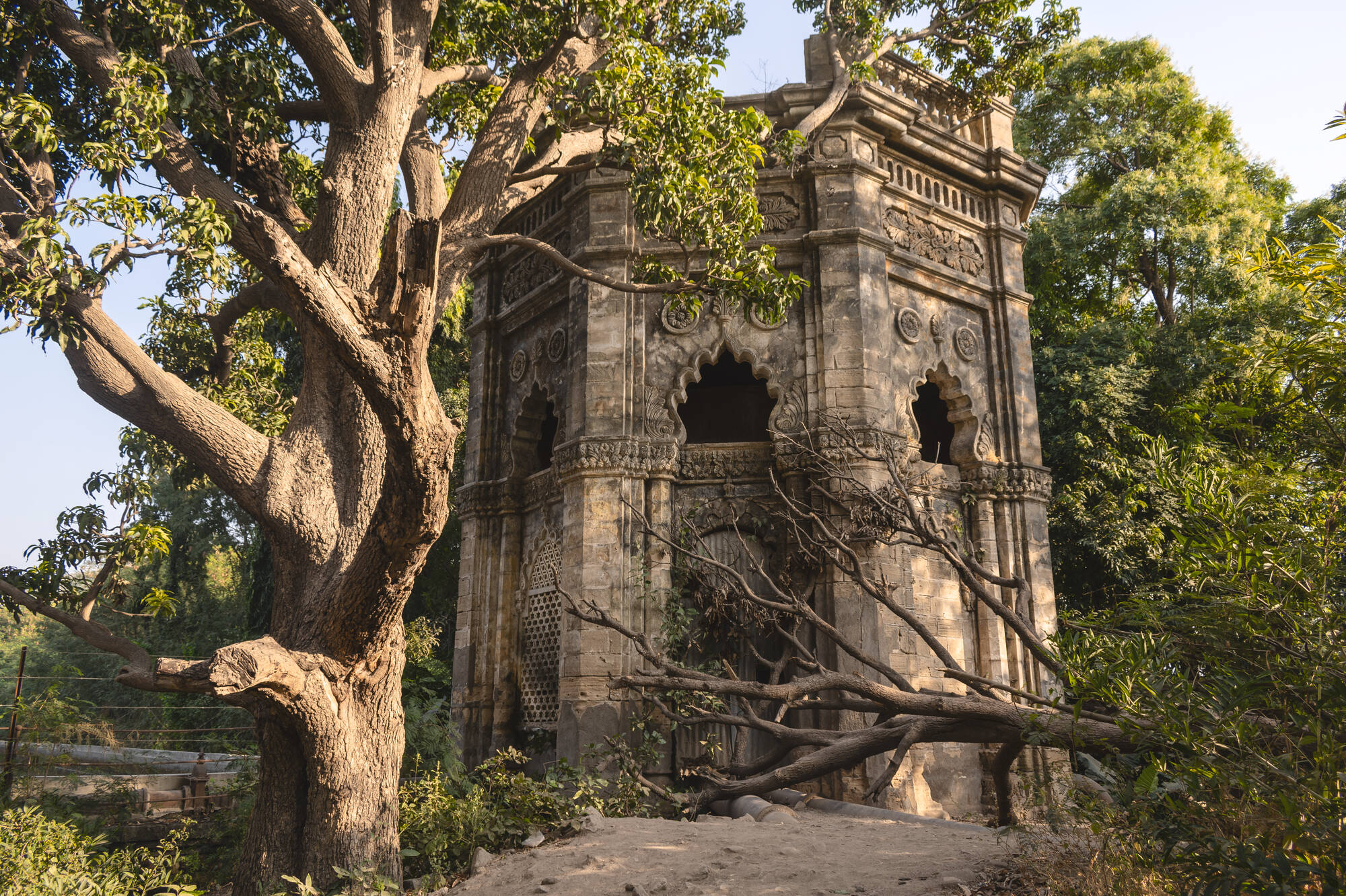 Gujarat - Land der Löwen und Legenden ab Gujarat | Ahmedabad: Indien Gujarat Junagadh Fort