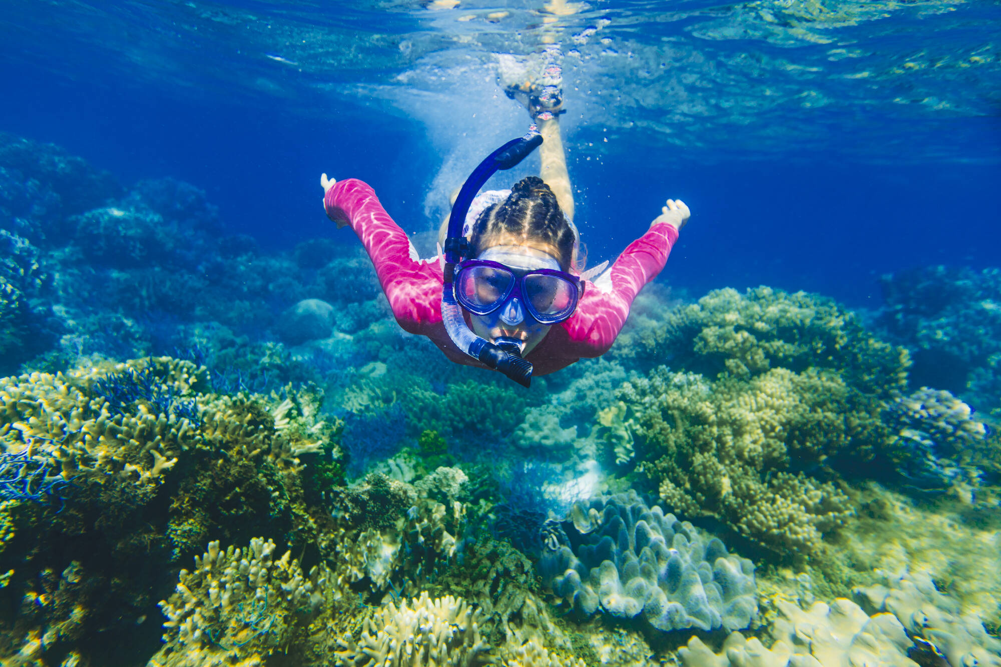 Die südlichen Visayas ab Bohol: Philippinen Unterwasserwelt Schnorcheln