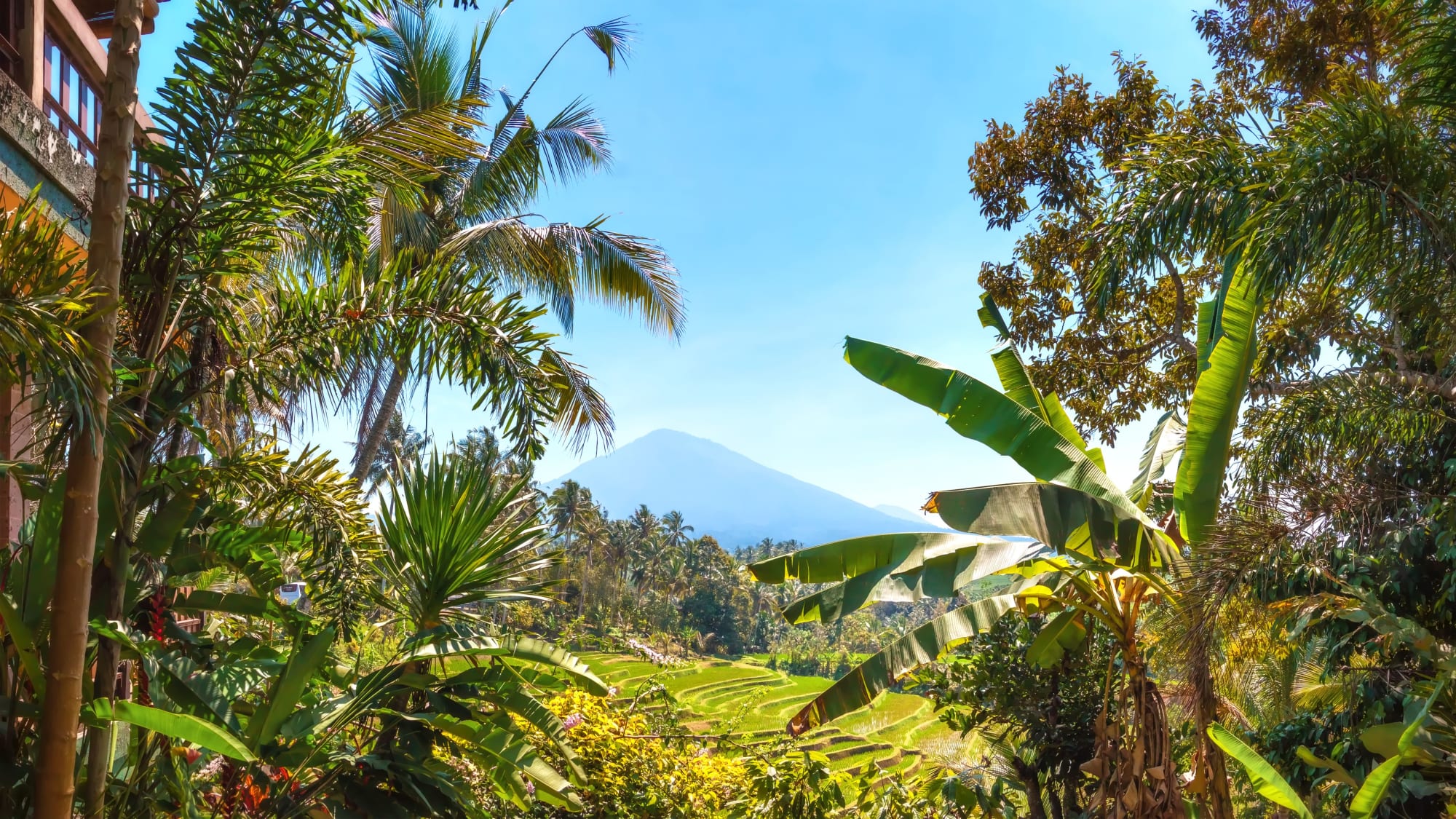 Soft Adventure Bali ab Süd-Bali: Indonesien Bali Batukaru