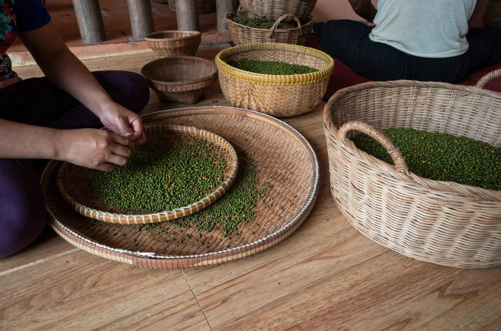 Kambodschas Küste & Inseln ab Phnom Penh: Kambodscha Roher grüner Pfeffer