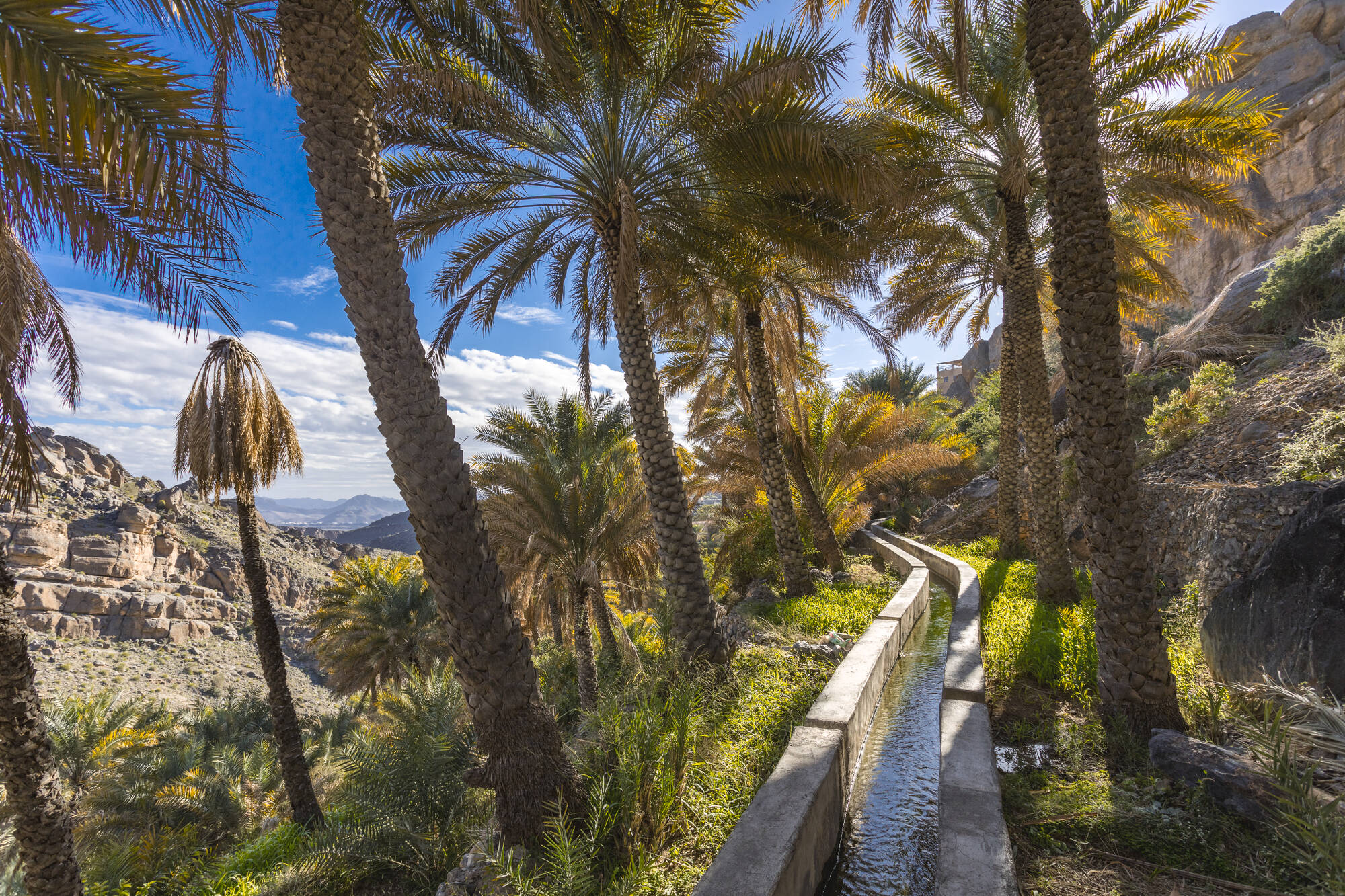Oman für Genießer ab Muscat: Oman Falaj Wassersystem
