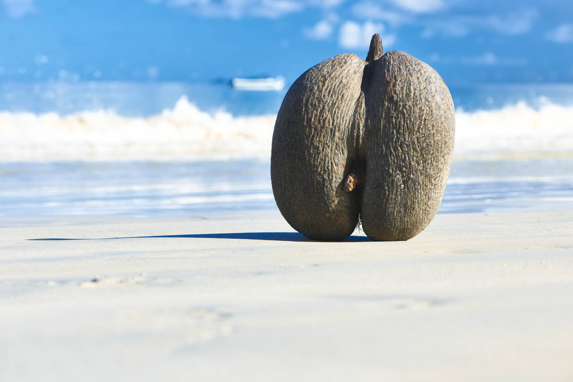 Inselhüpfen Praslin, La Digue & Mahé: Seychellen Strand Coco de Mer