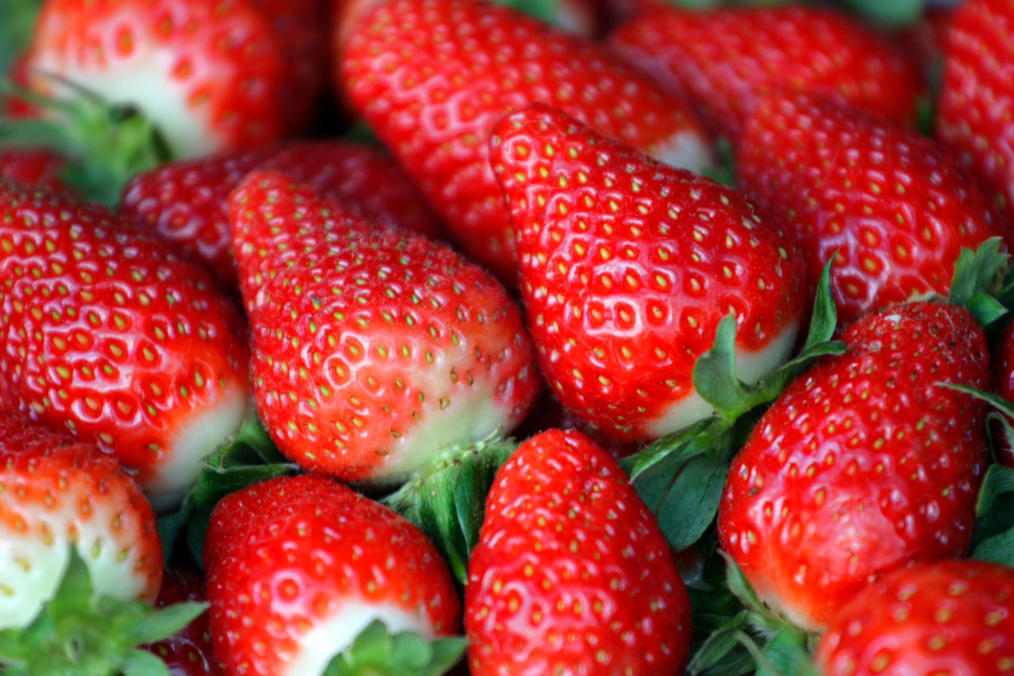 Klassisches Malaysia ab Kuala Lumpur: Malaysia Cameron Highlands Erdbeeren