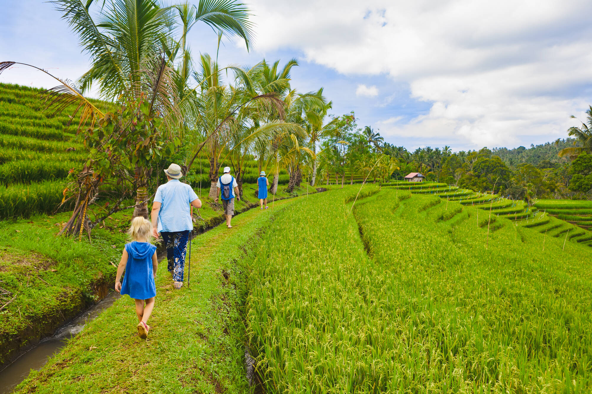 Natur & Kultur Tabanan ab Süd-Bali: Indonesien Bali Wanderung im Reisfeld
