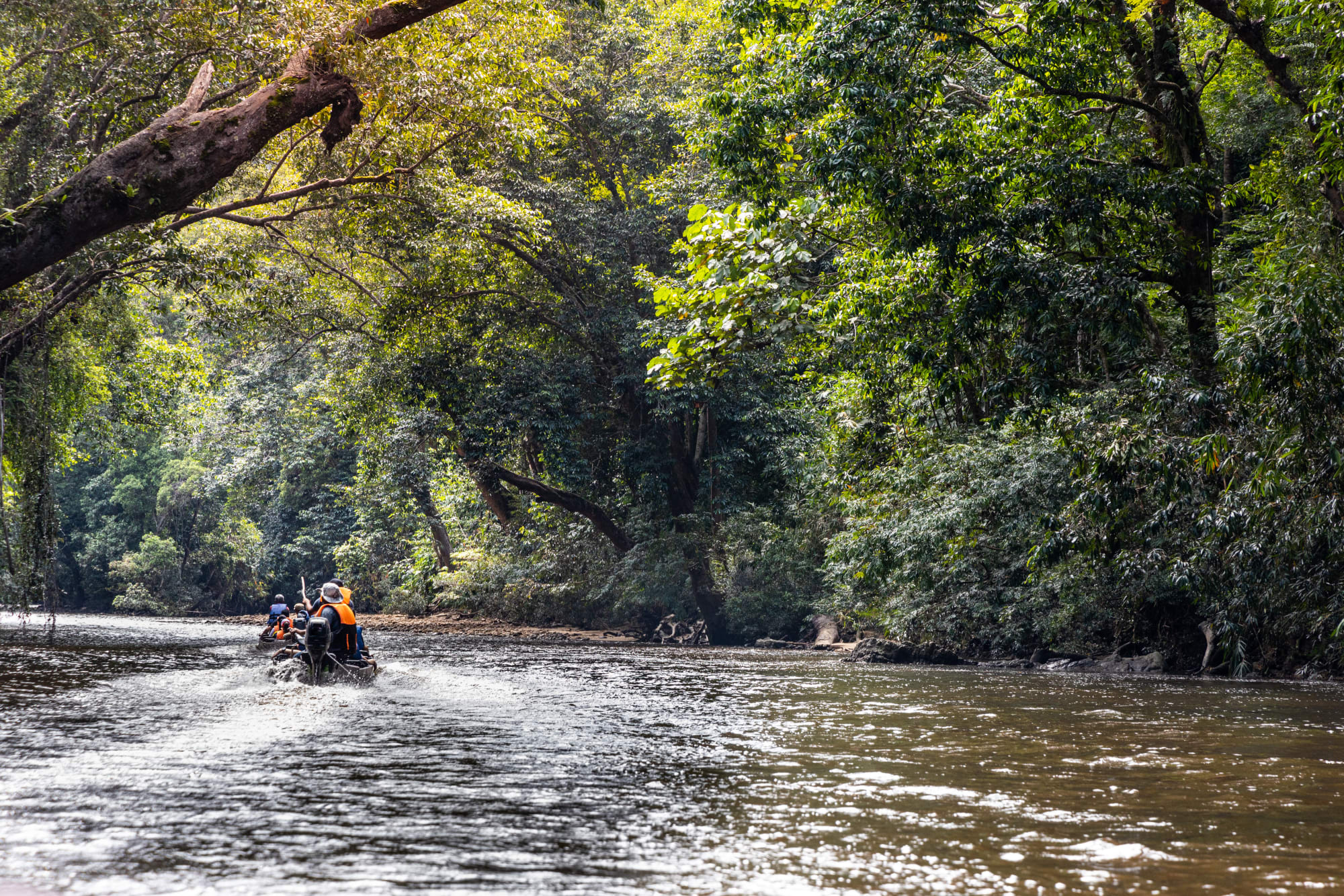 Taman Negara, Eigenanreise: Malaysia Taman Negara NP Flussfahrt