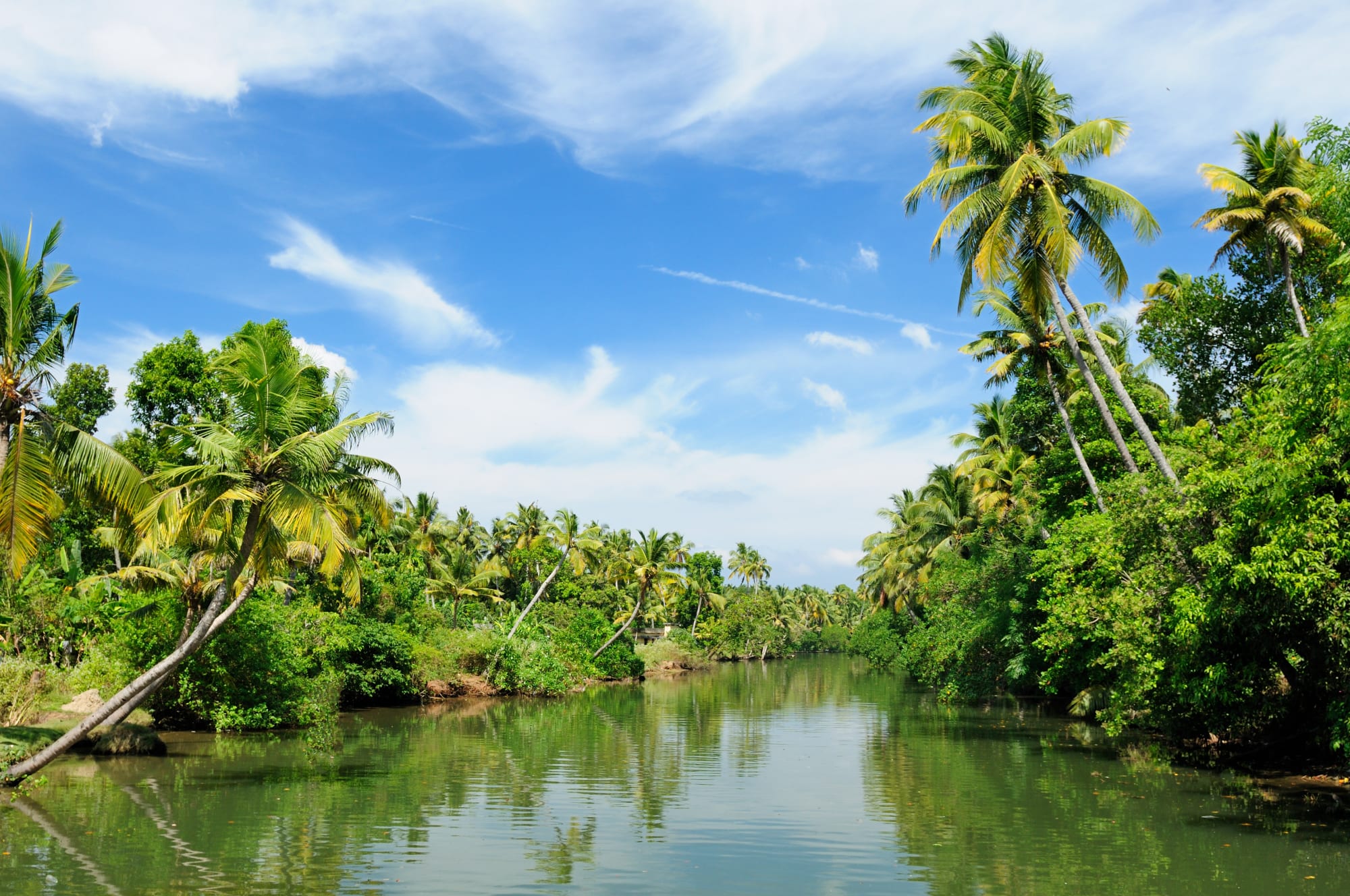 Die Backwaters von Kerala ab Kerala | Malabarküste | Kochi: Indien Kerala Backwaters