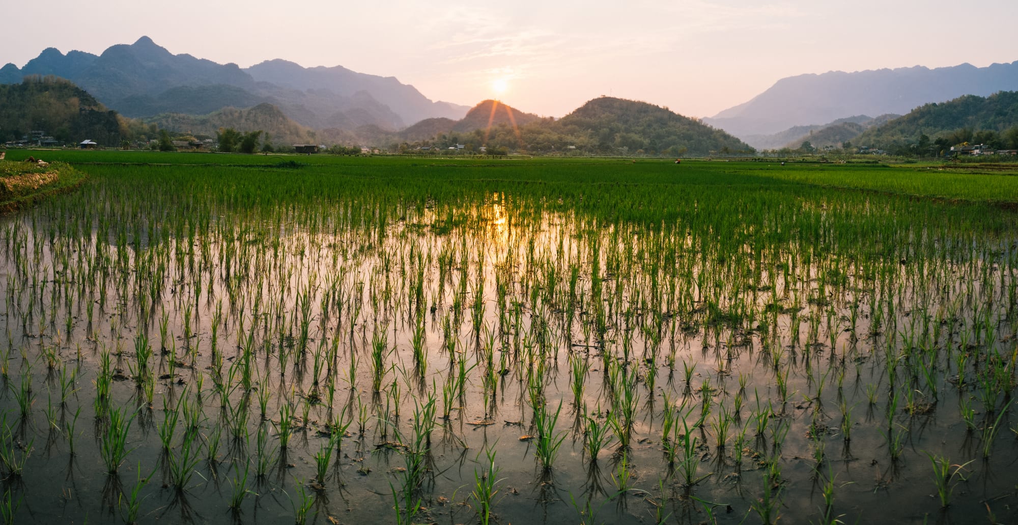 Vietnam Aktiv: Radfahren, Wandern und Paddeln ab Danang: Vietnam Mai Chau Reisfeld