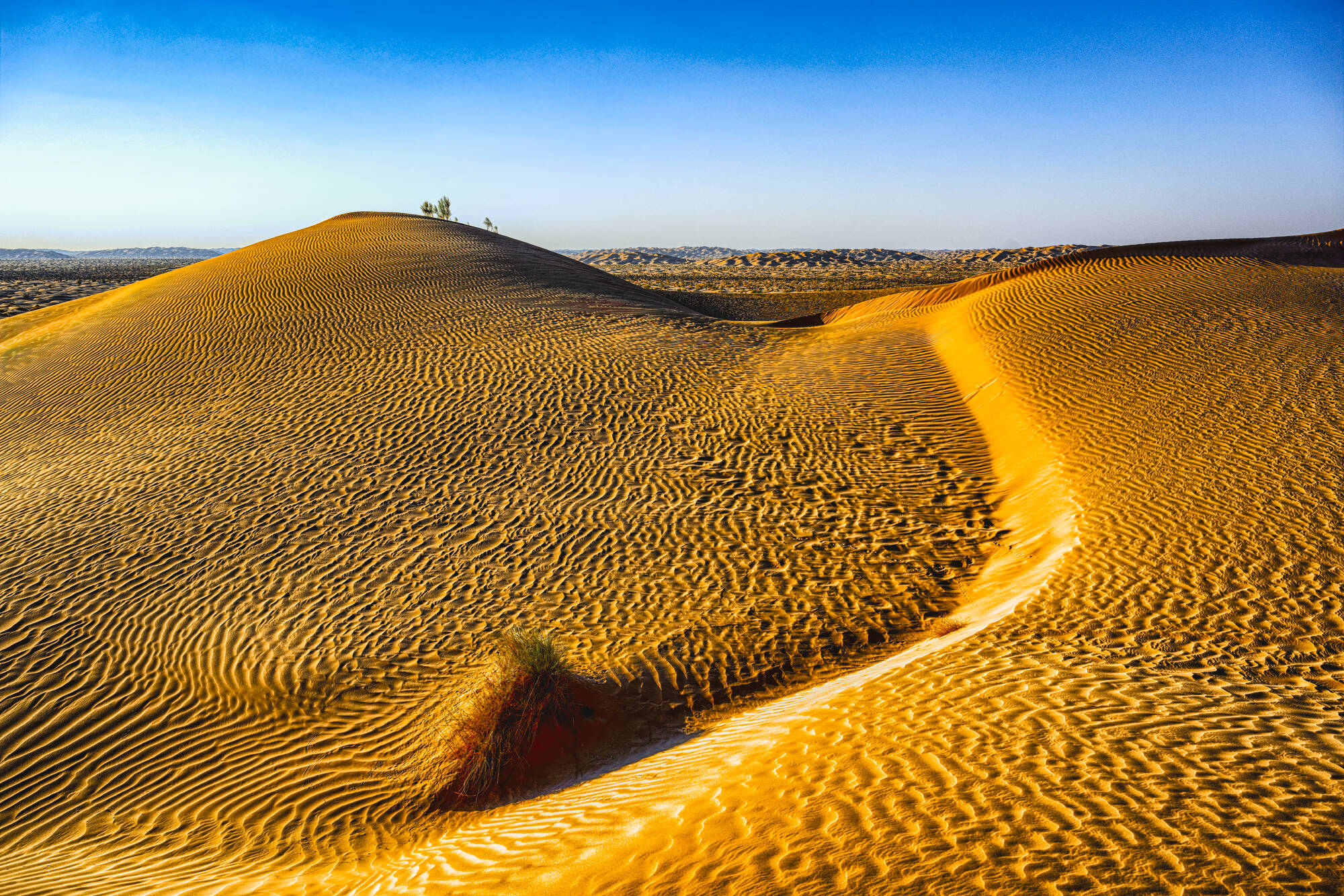 Expedition Wüste: Nord - Süd ab Muscat: Oman Rub al Khali Wüste