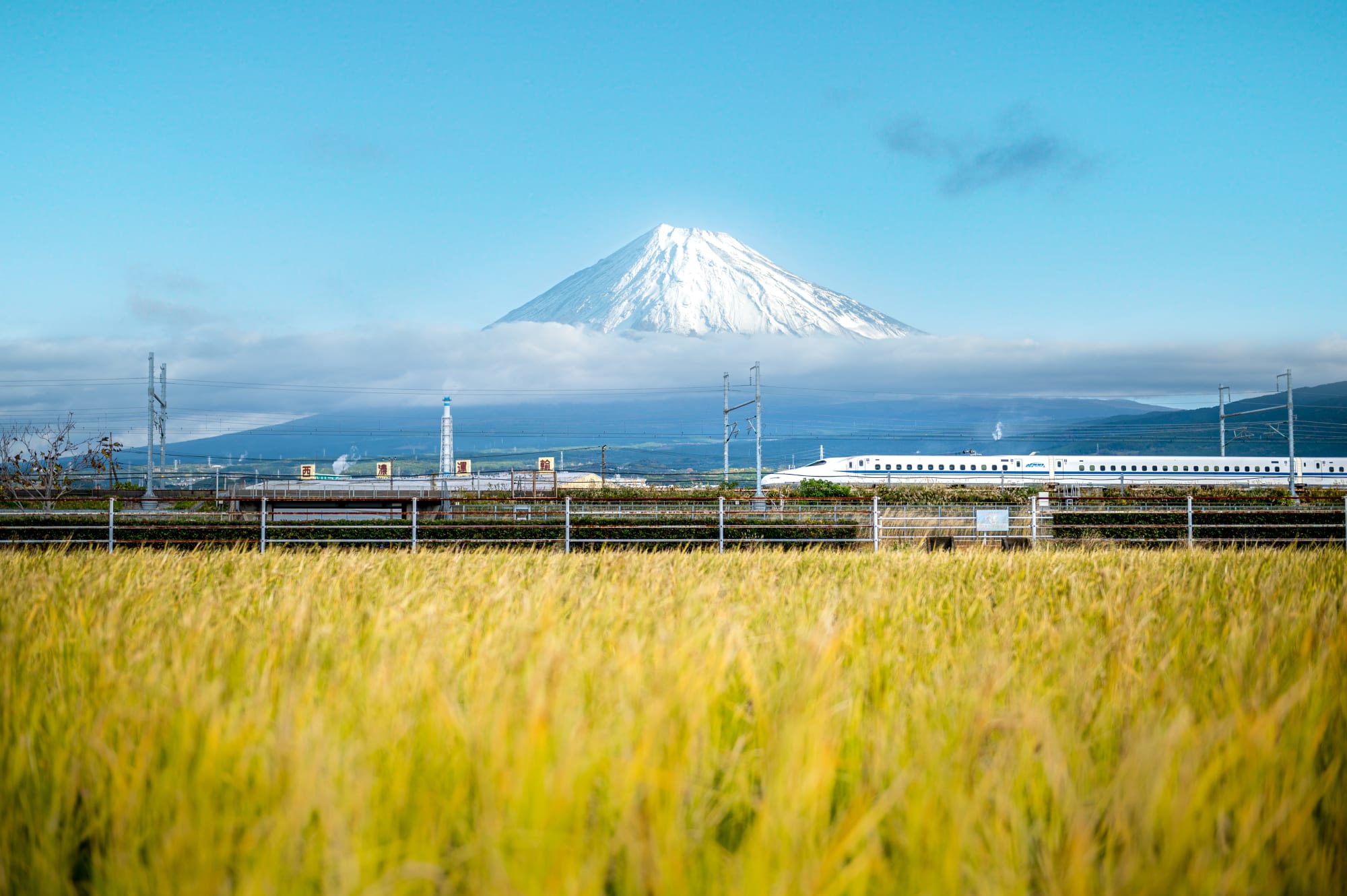 Japans Goldene Route ab Tokio: Japan Züge Shinkansen