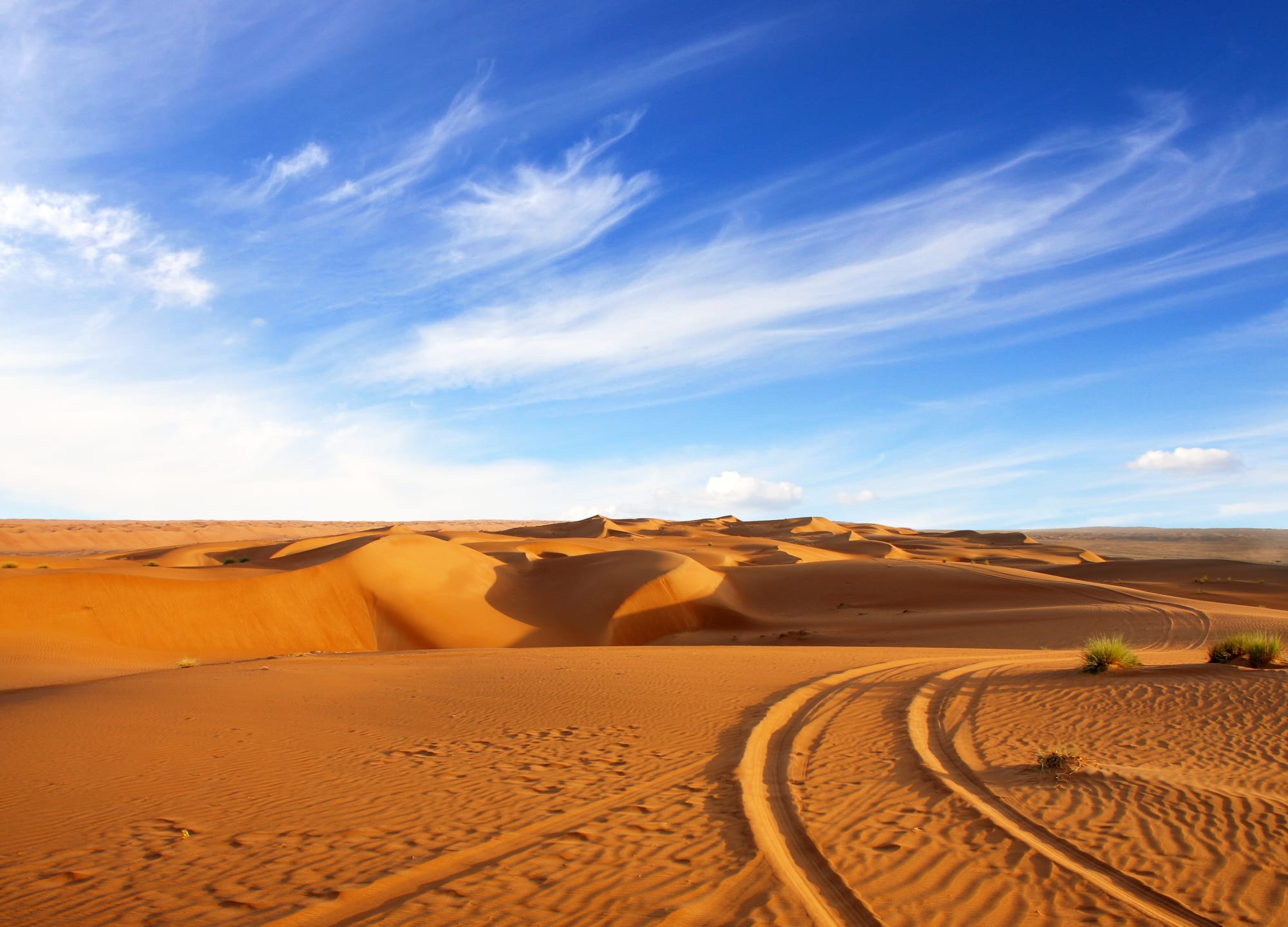 Wandern im Sultanat ab Muscat: Oman Wahiba Sands Wüste