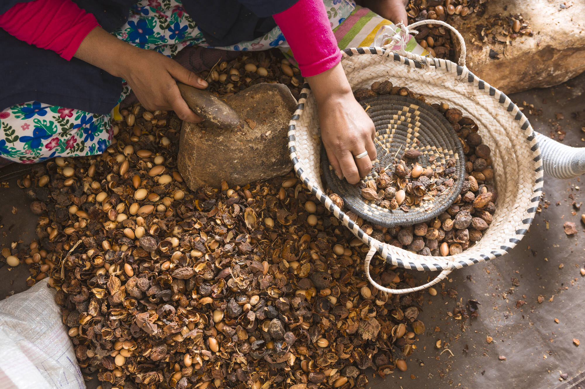 Argan, Wein & Safran ab Marrakesch: Marokko Herstellung von Arganöl 