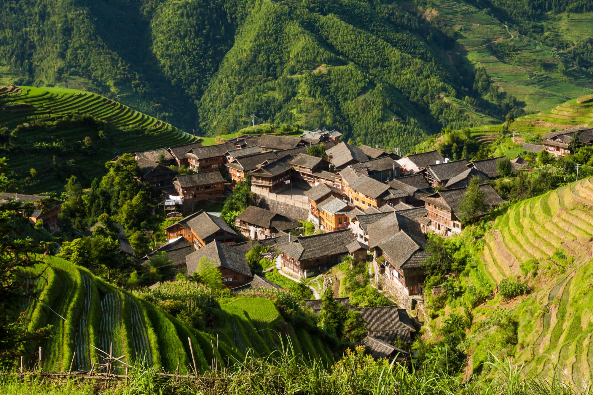 Von Guilins Bergwelten nach Hong Kong ab Shanghai: China Guilin Dorf zwischen Reisterrassen