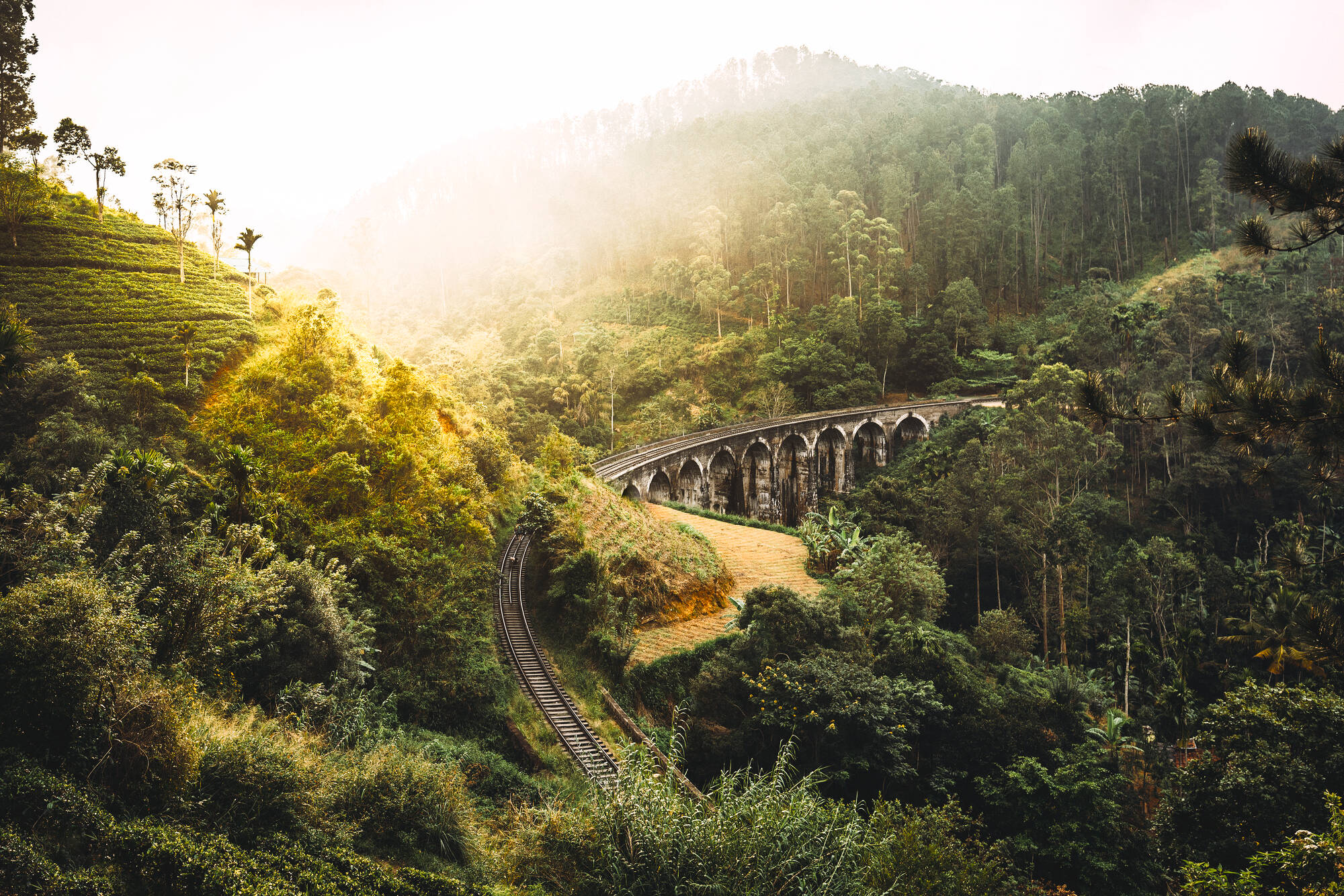 Teardrop Trails ab Nuwara Eliya: Sri Lanka Schmalspurbahn
