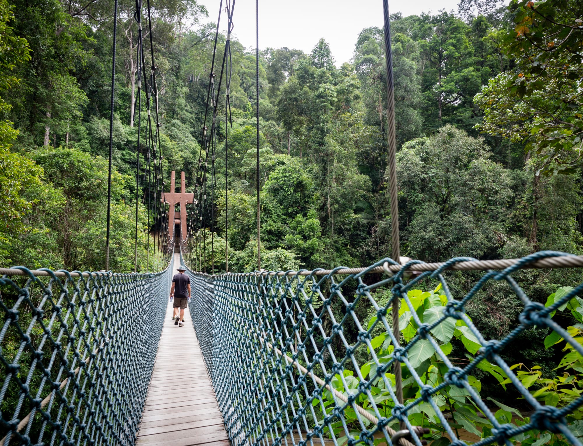 Höhepunkte Borneos inkl. Brunei ab Kuching: Brunei Virgin Rainforest Ulu Temburong NP